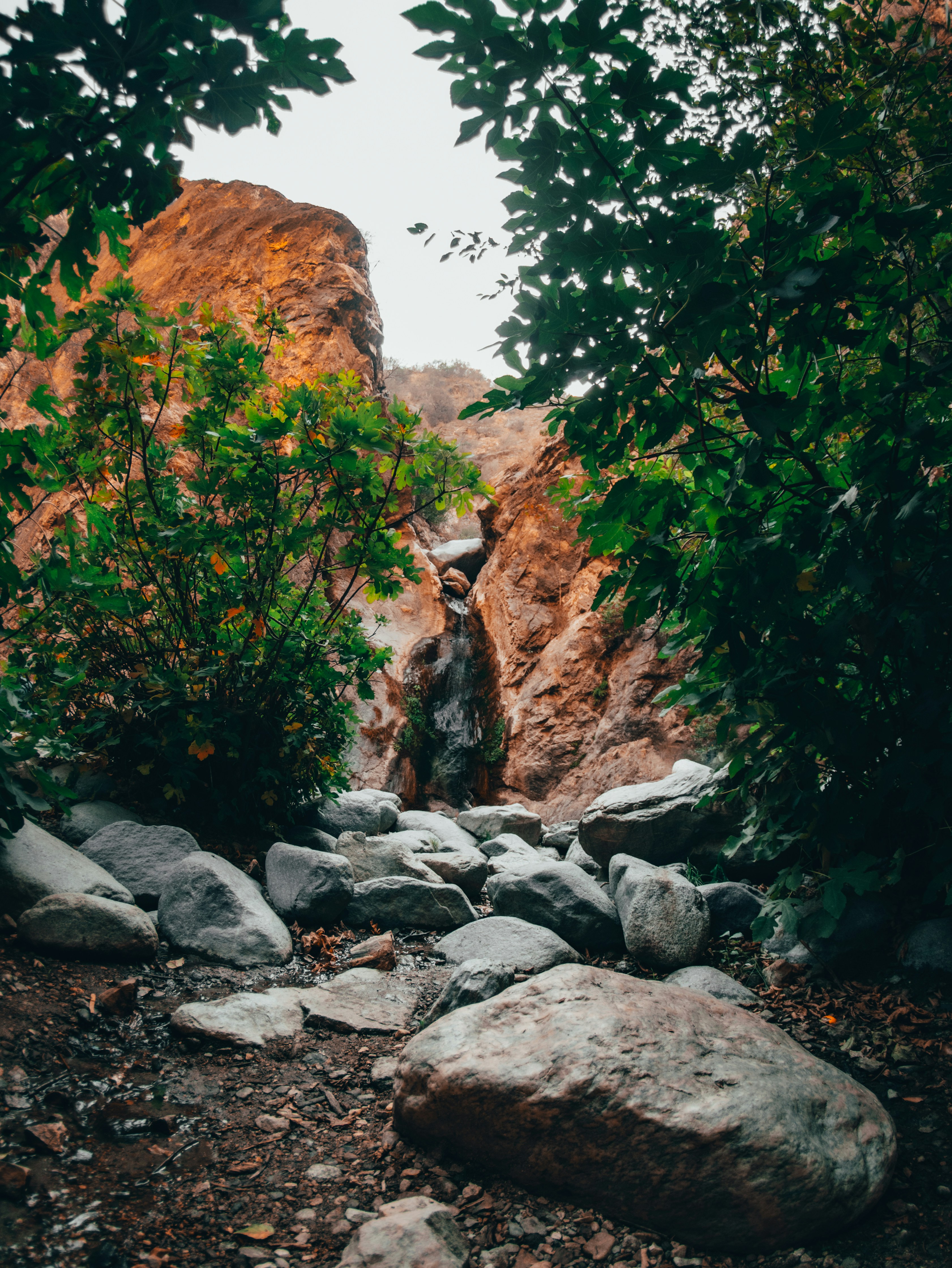 Photo by kingkonggeorge