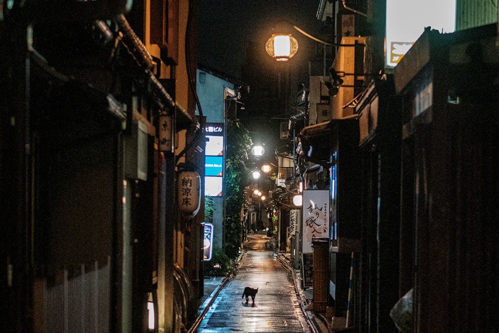 a dog walking down a sidewalk