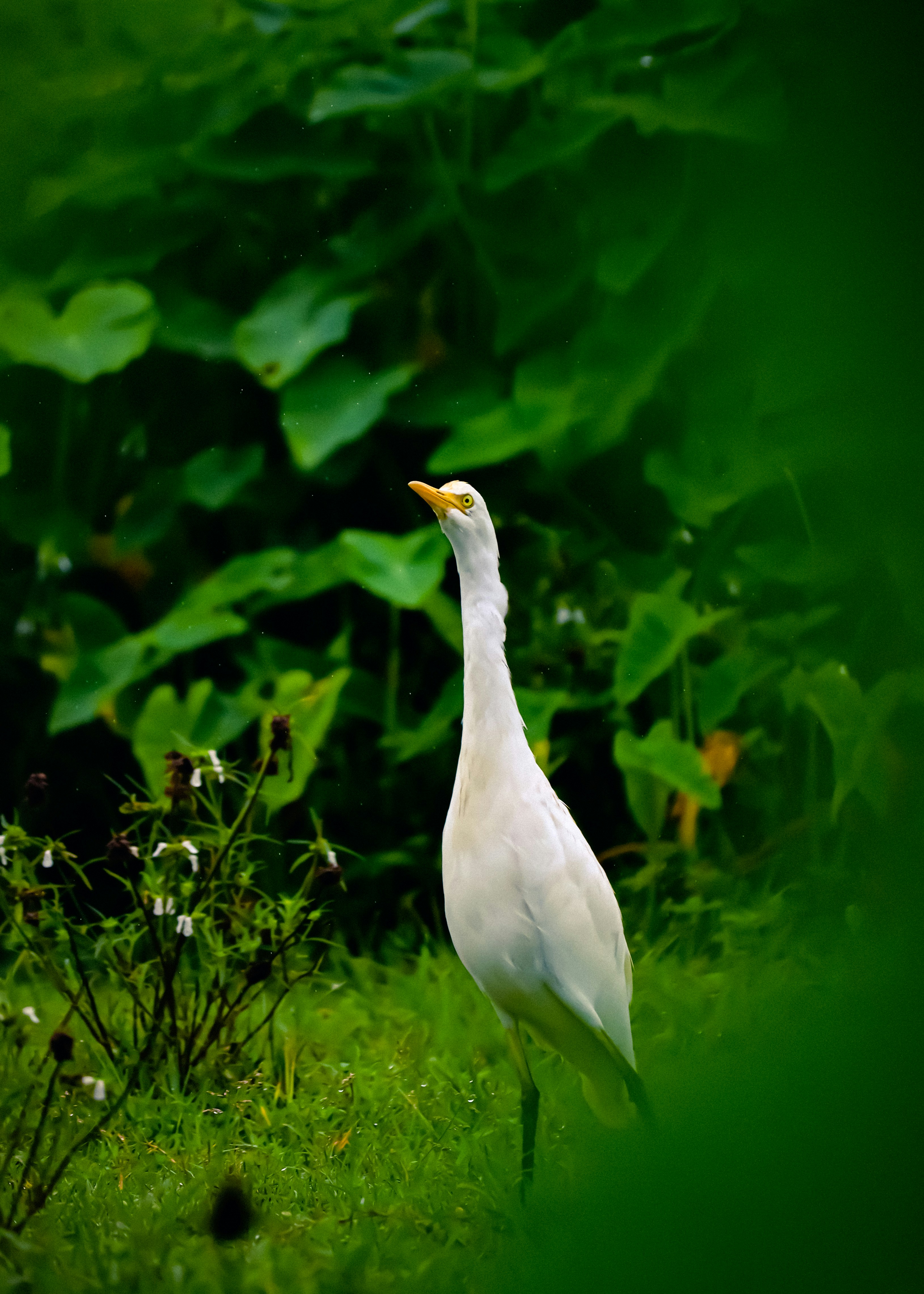 Photo by soonamwooeser