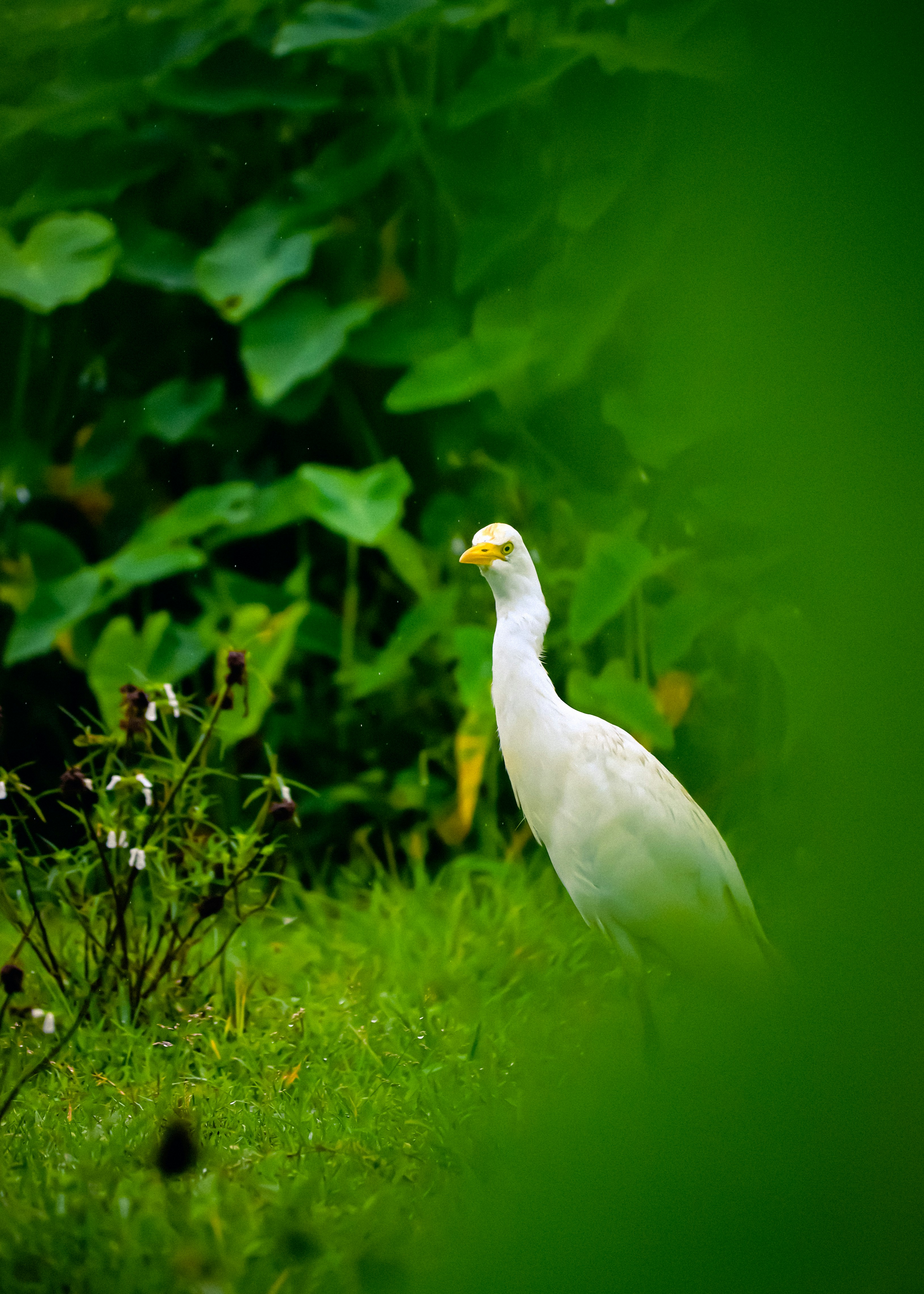 Photo by soonamwooeser