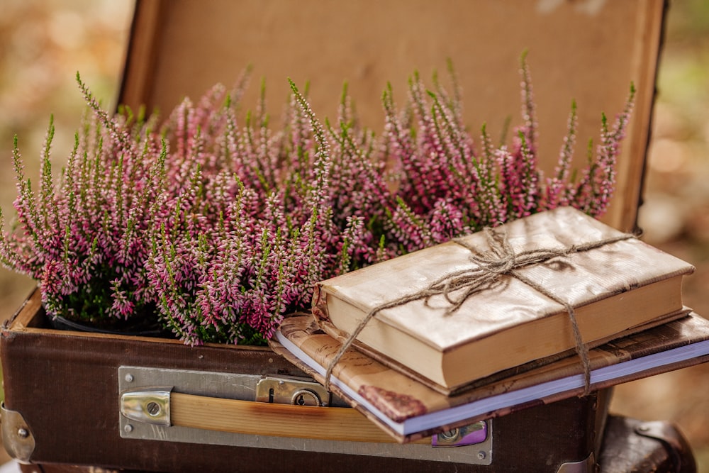 a book in a box