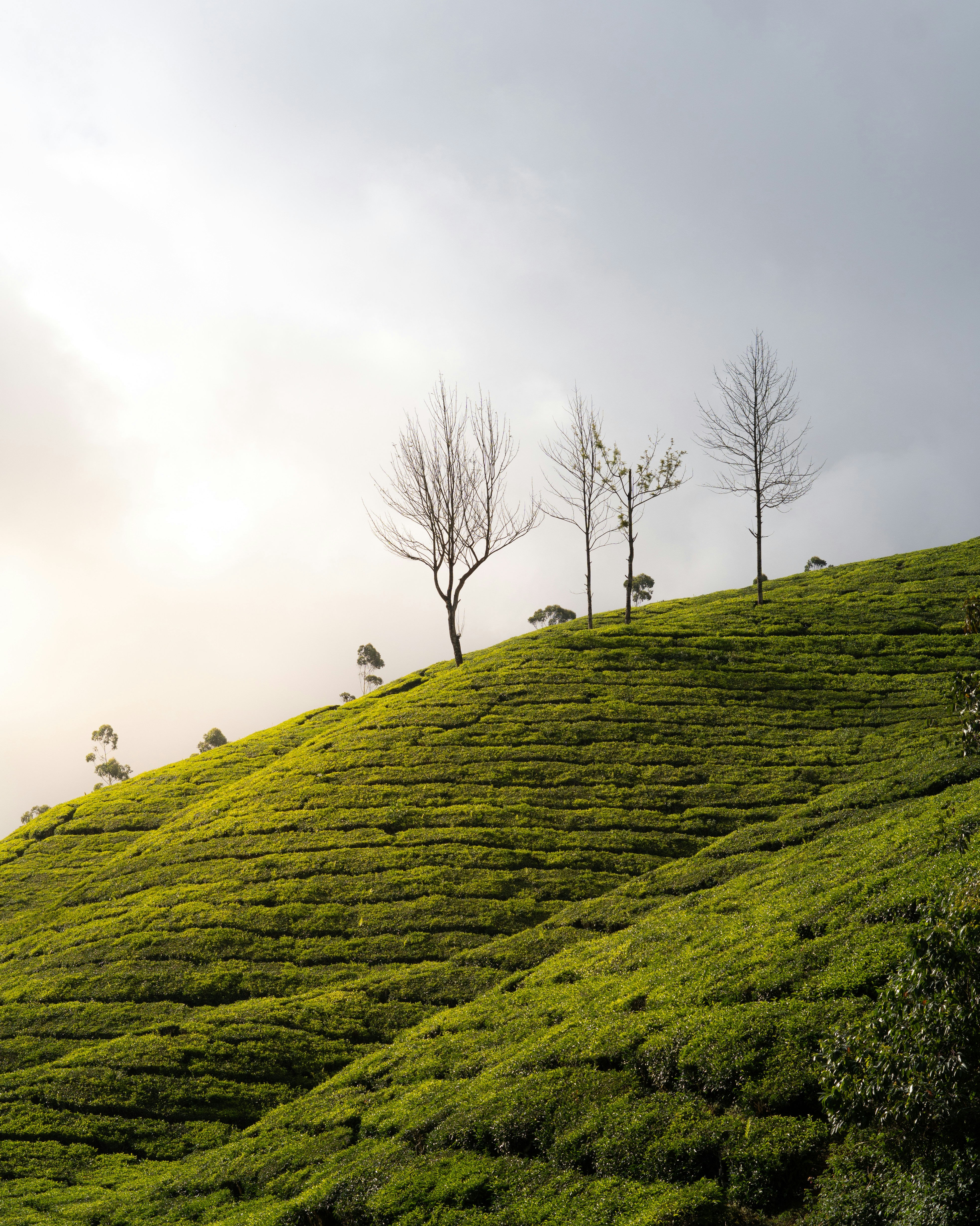 Photo by adarshprakas