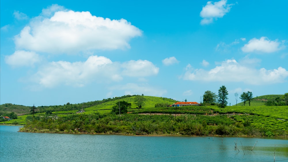 a body of water with grass and trees around it