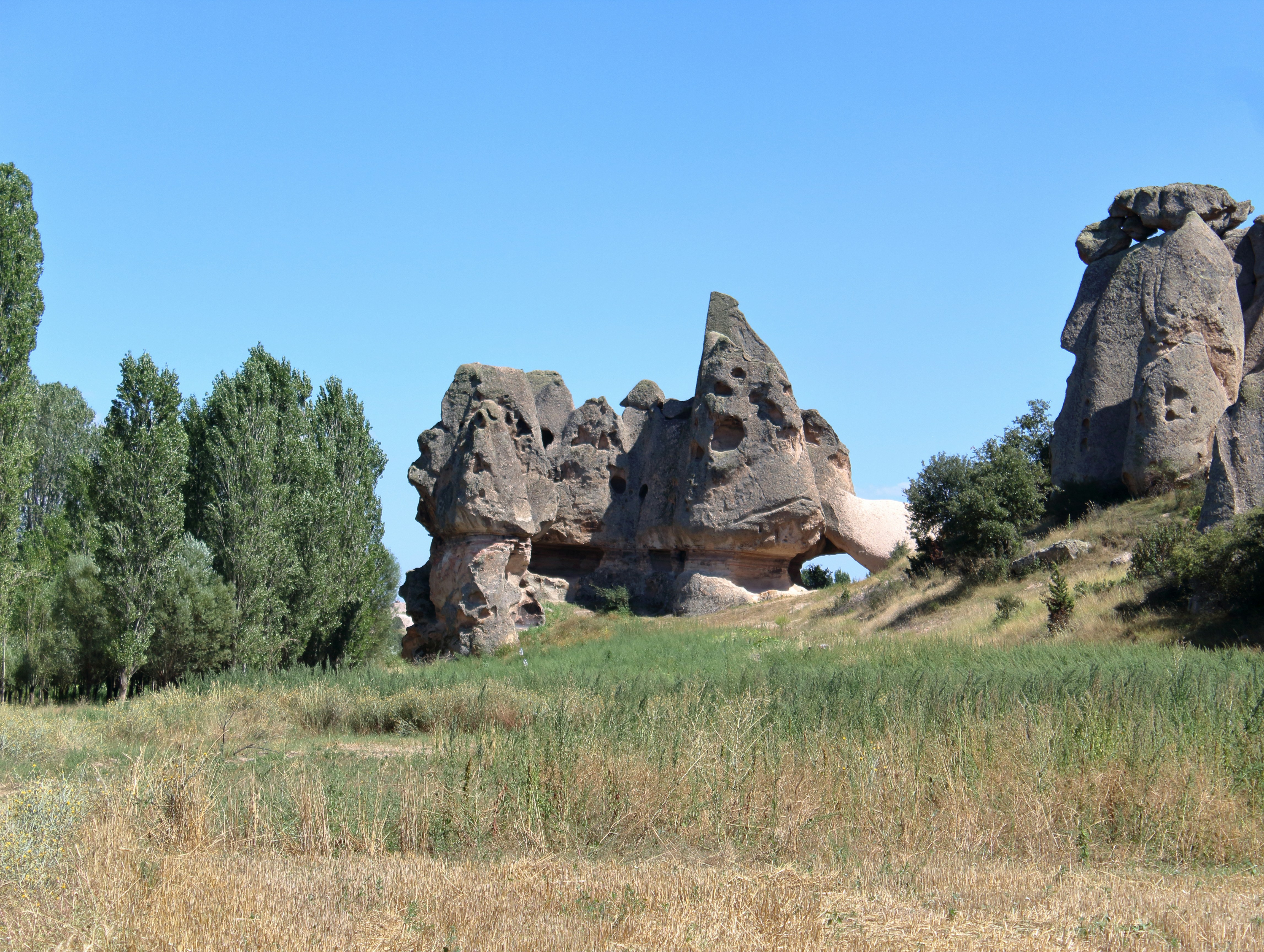 a large rock formation in a grassy field with trees in the background