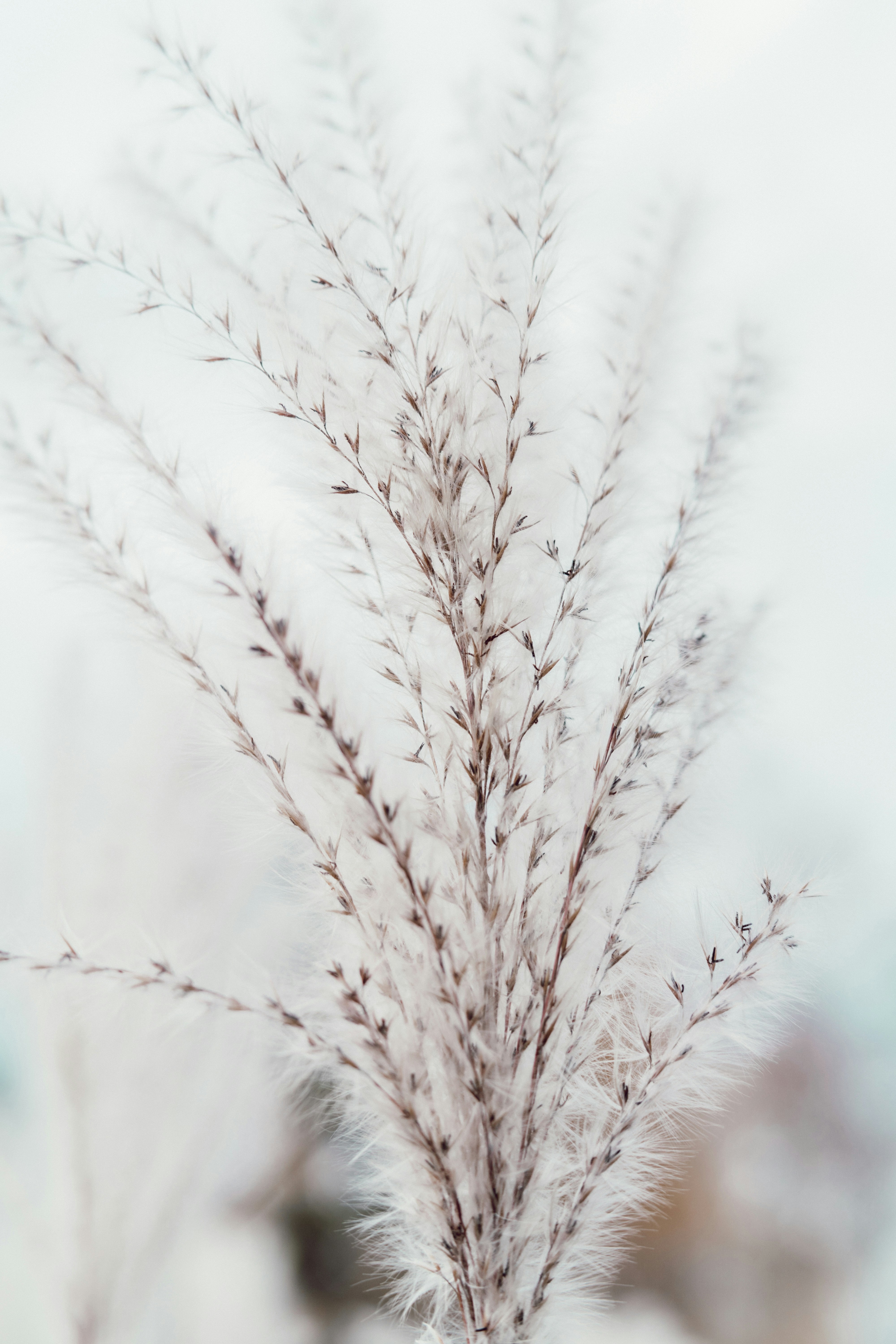 Photo by anamnesis33