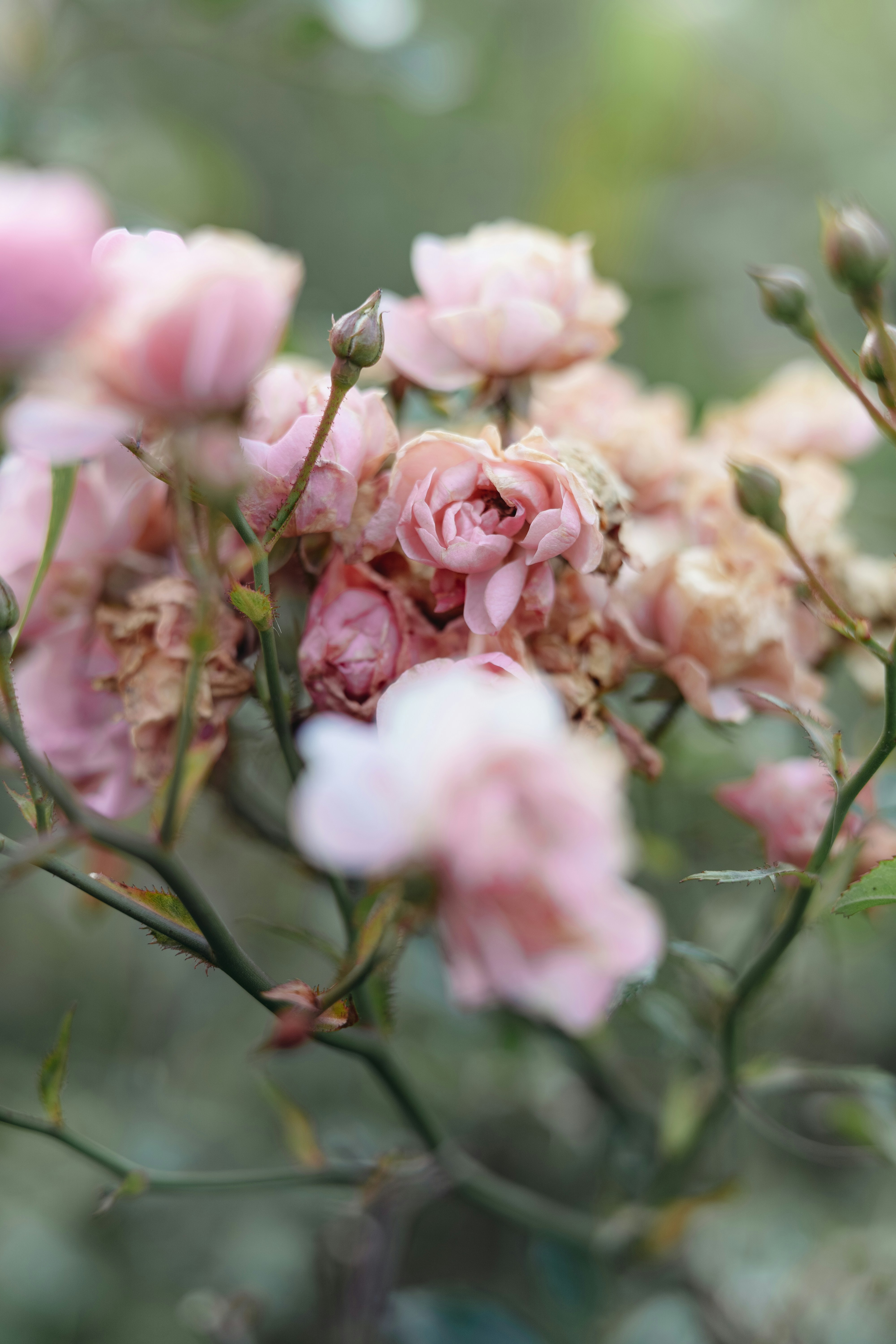 Photo by anamnesis33