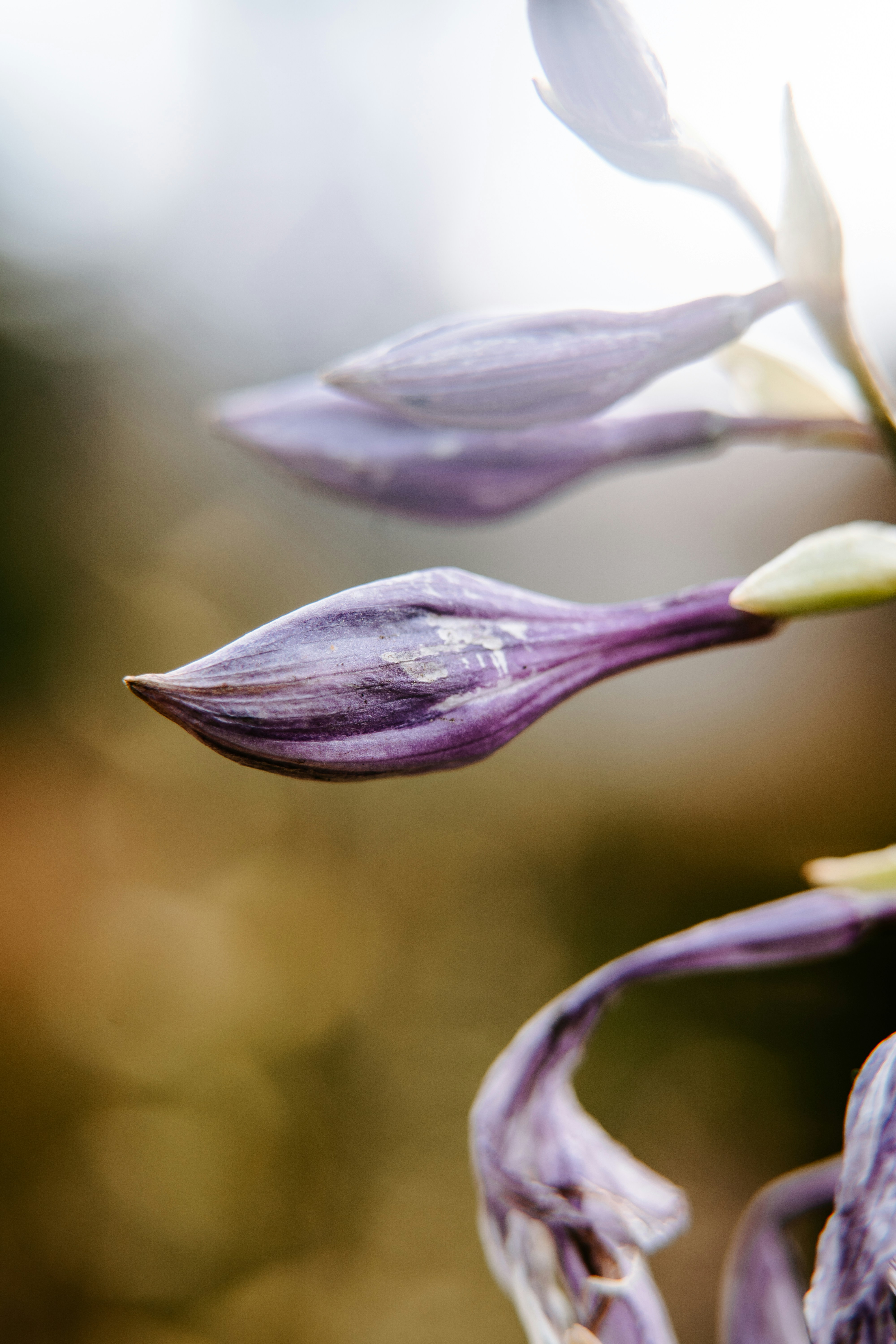 Photo by anamnesis33