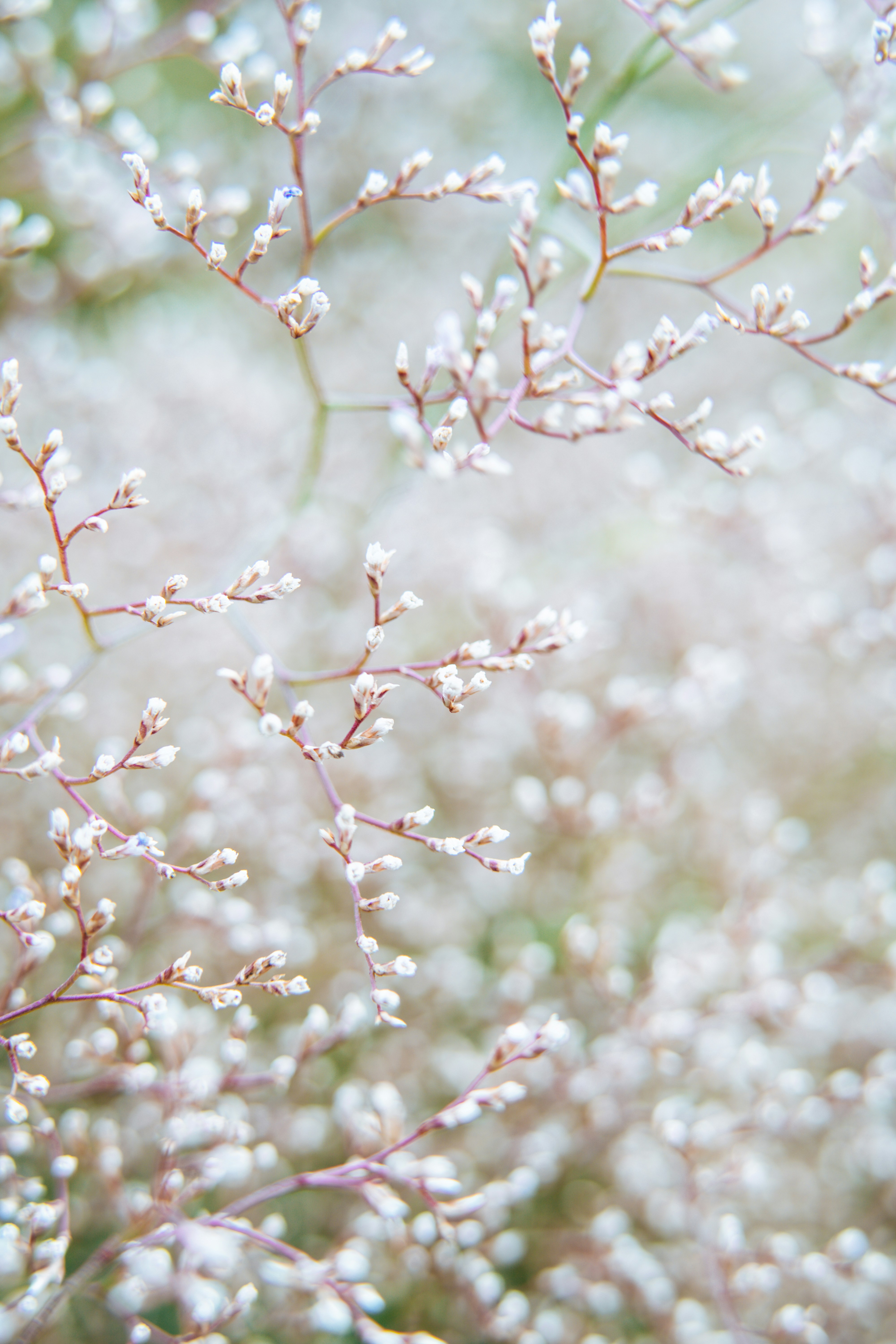 Photo by anamnesis33