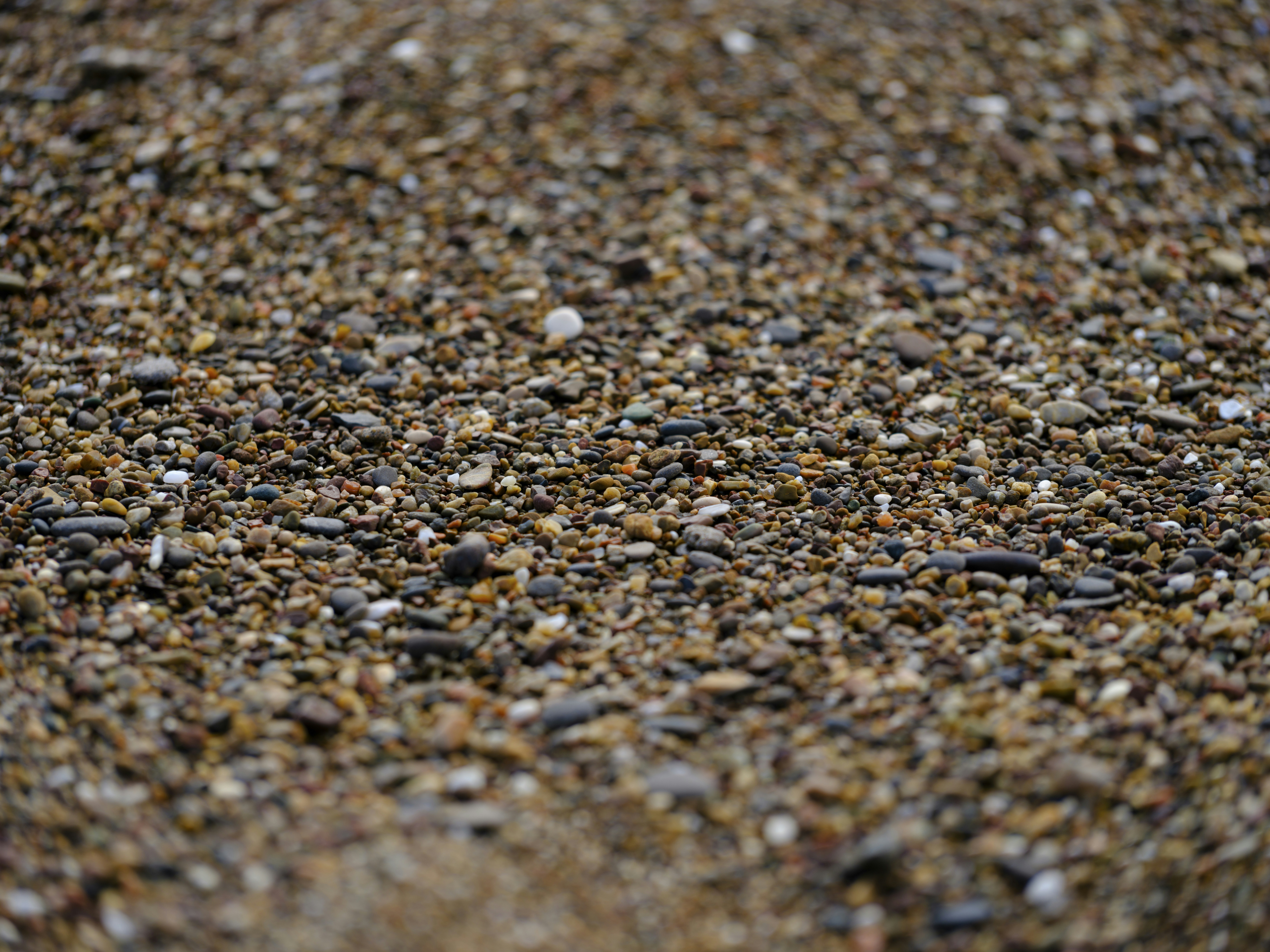 Photo by enginakyurt