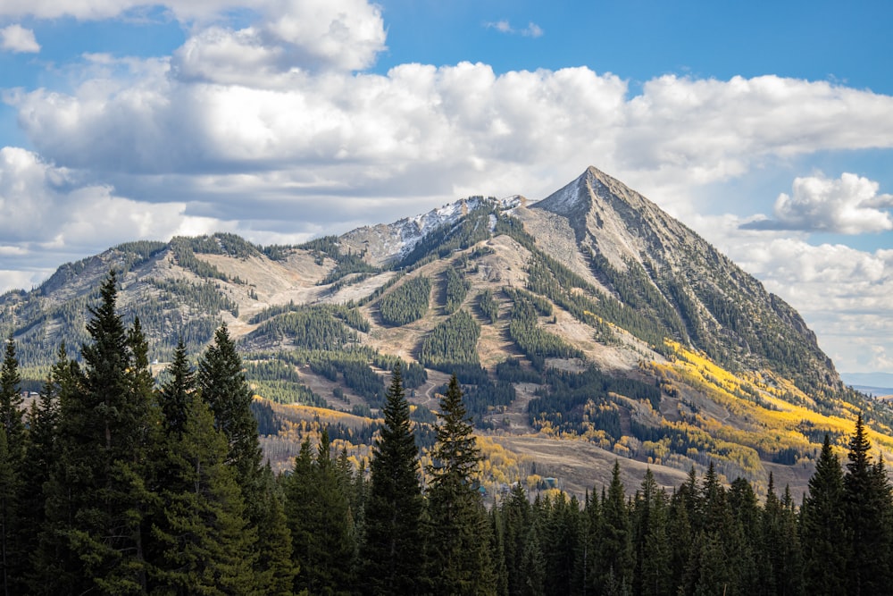 Una montagna con alberi e nuvole