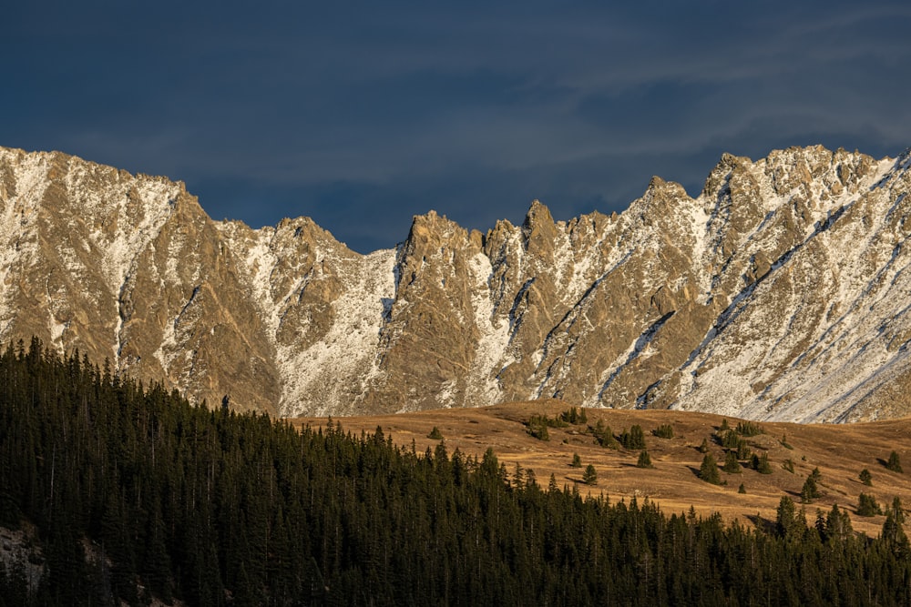 a landscape with mountains in the back