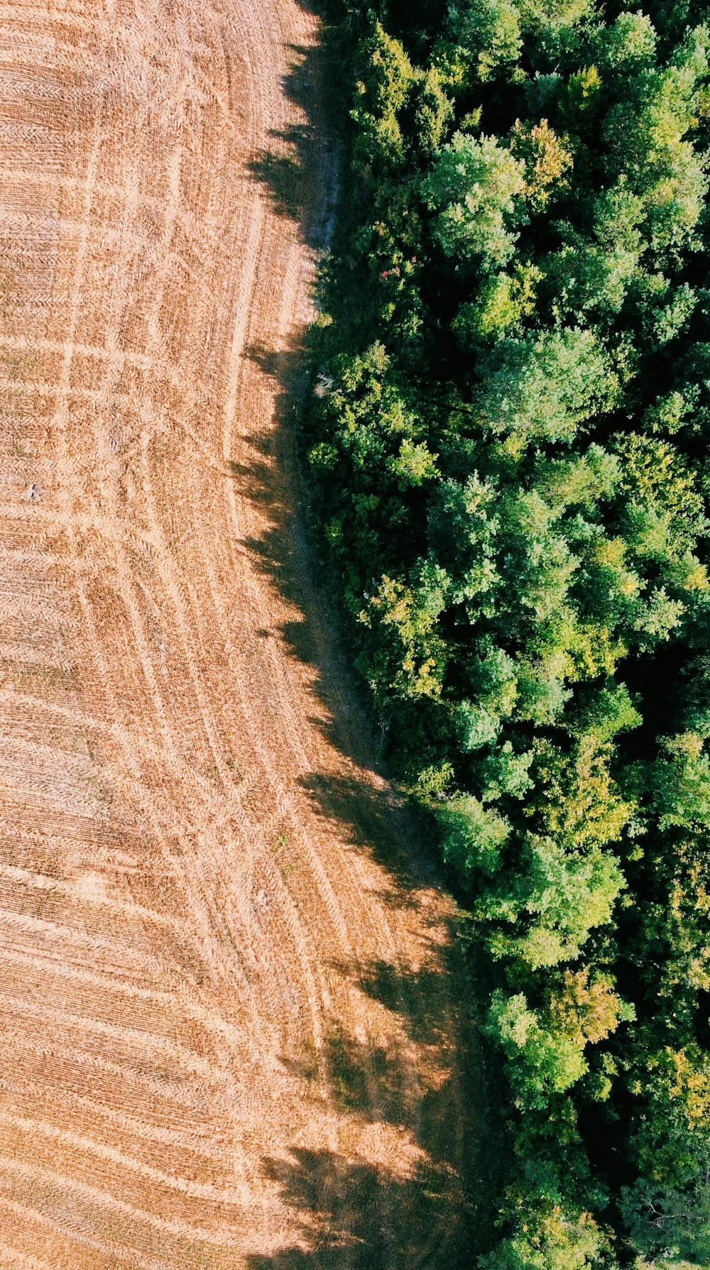 Une rivière avec des arbres sur le côté