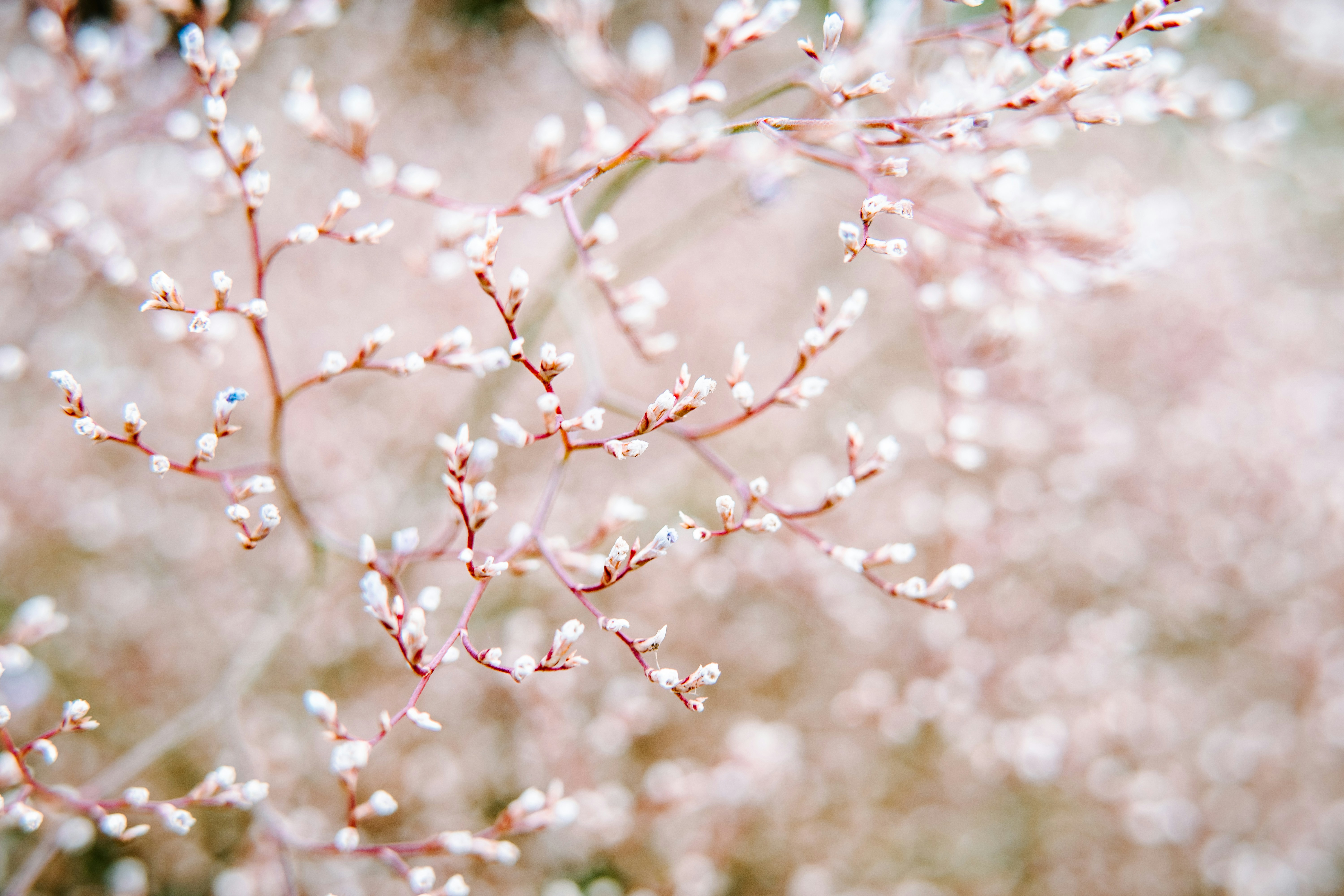 Photo by anamnesis33