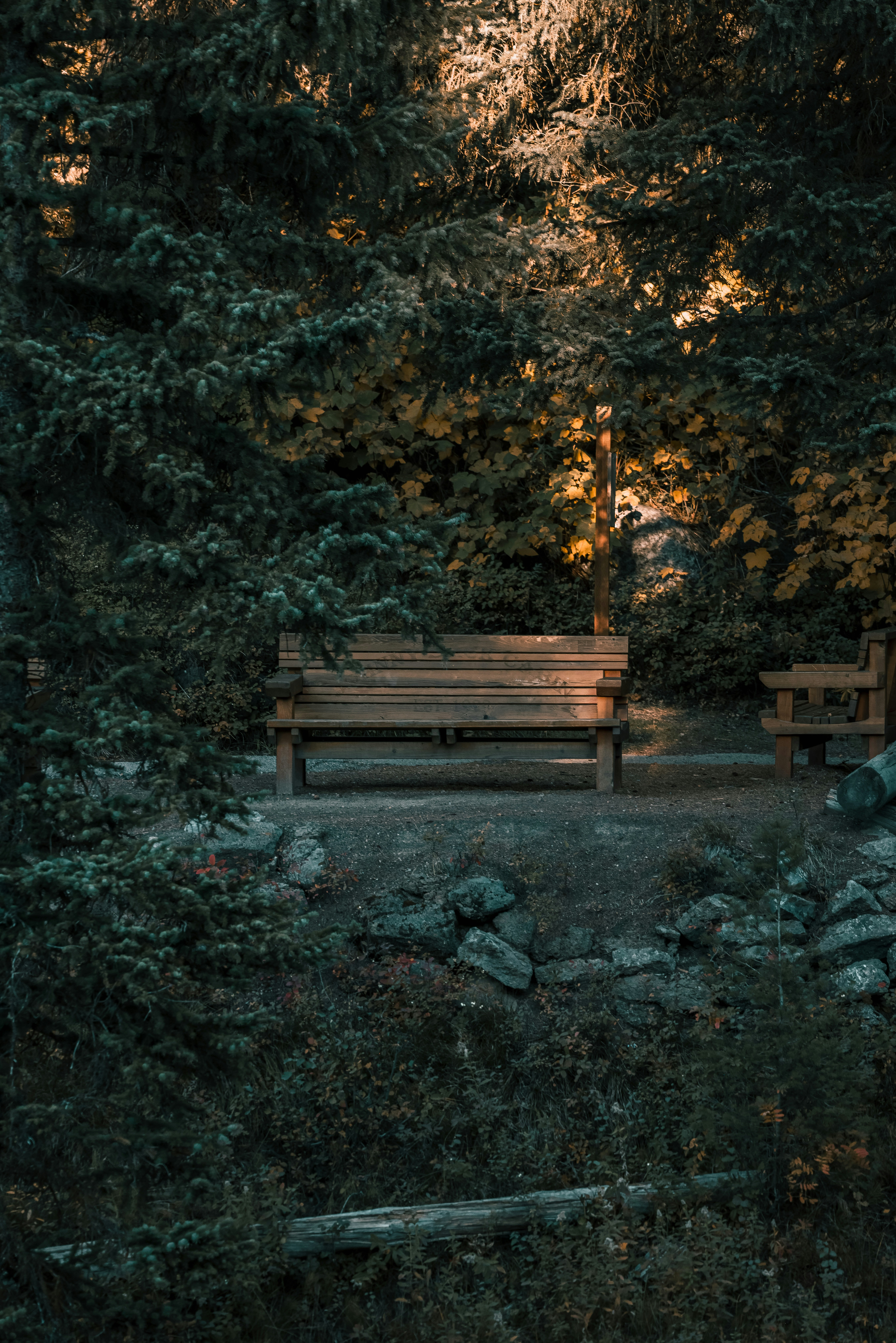 Photo by isaactmitchell