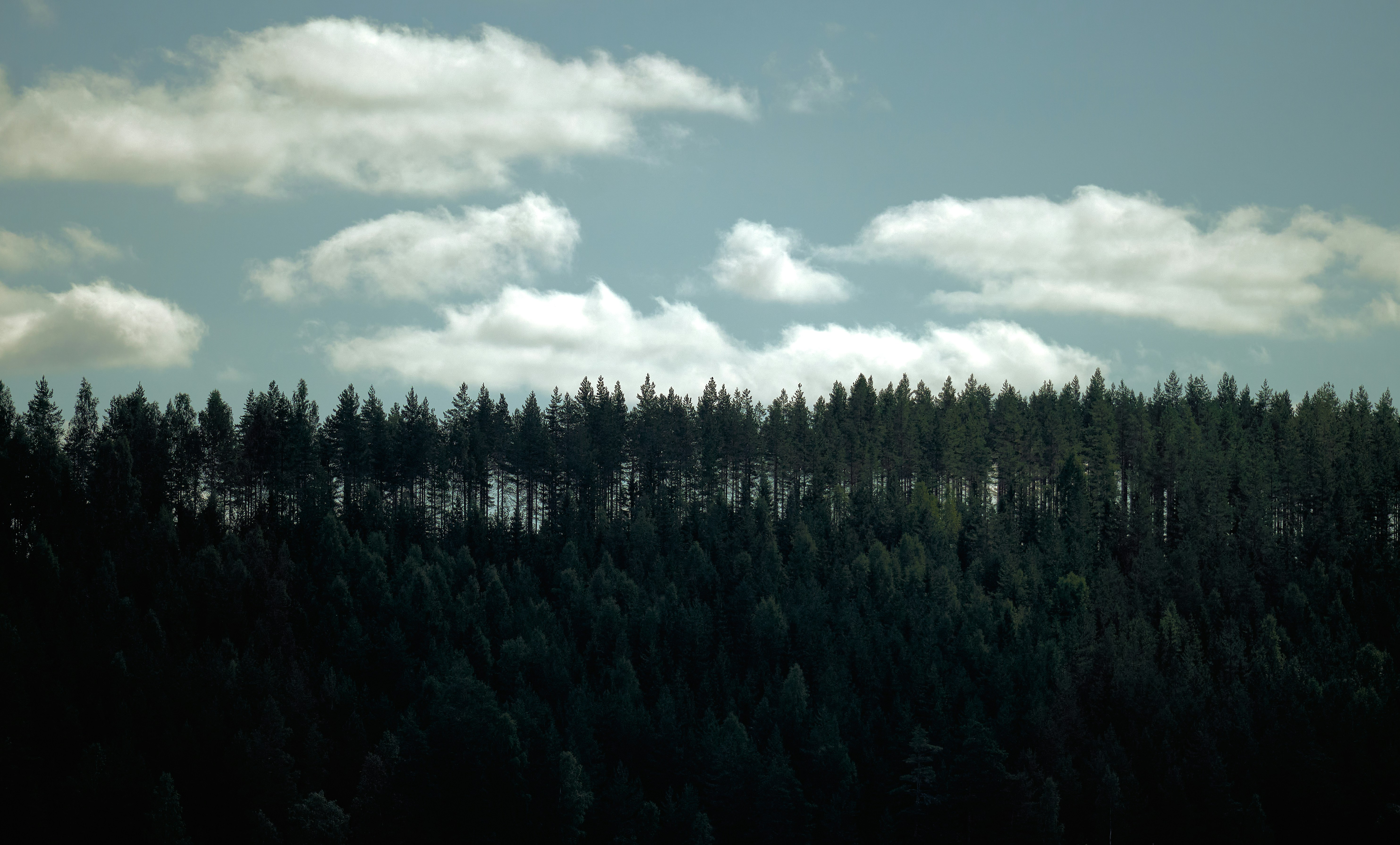 Photo by nilssoderman