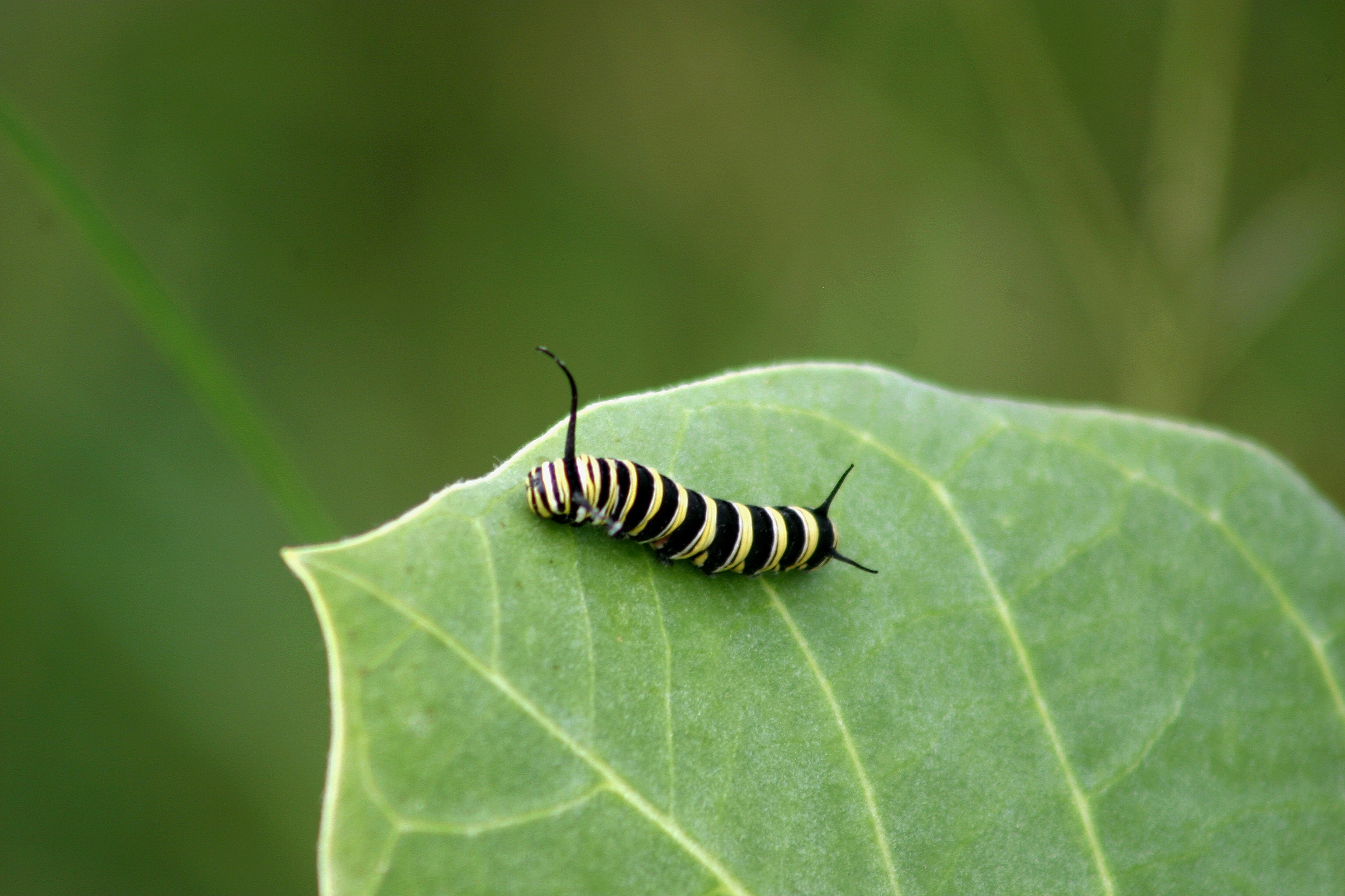 Photo by climatechangevi