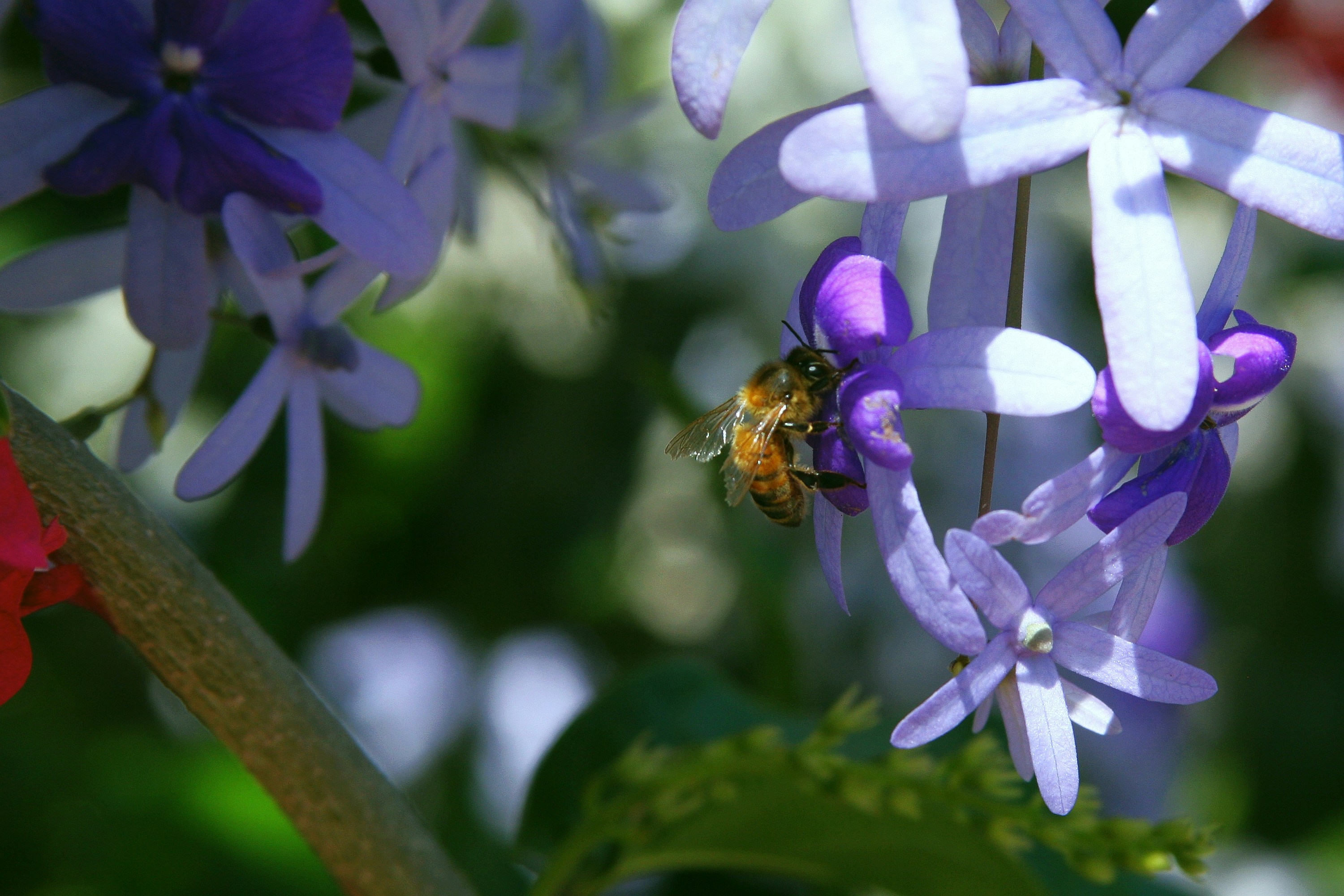 Photo by climatechangevi