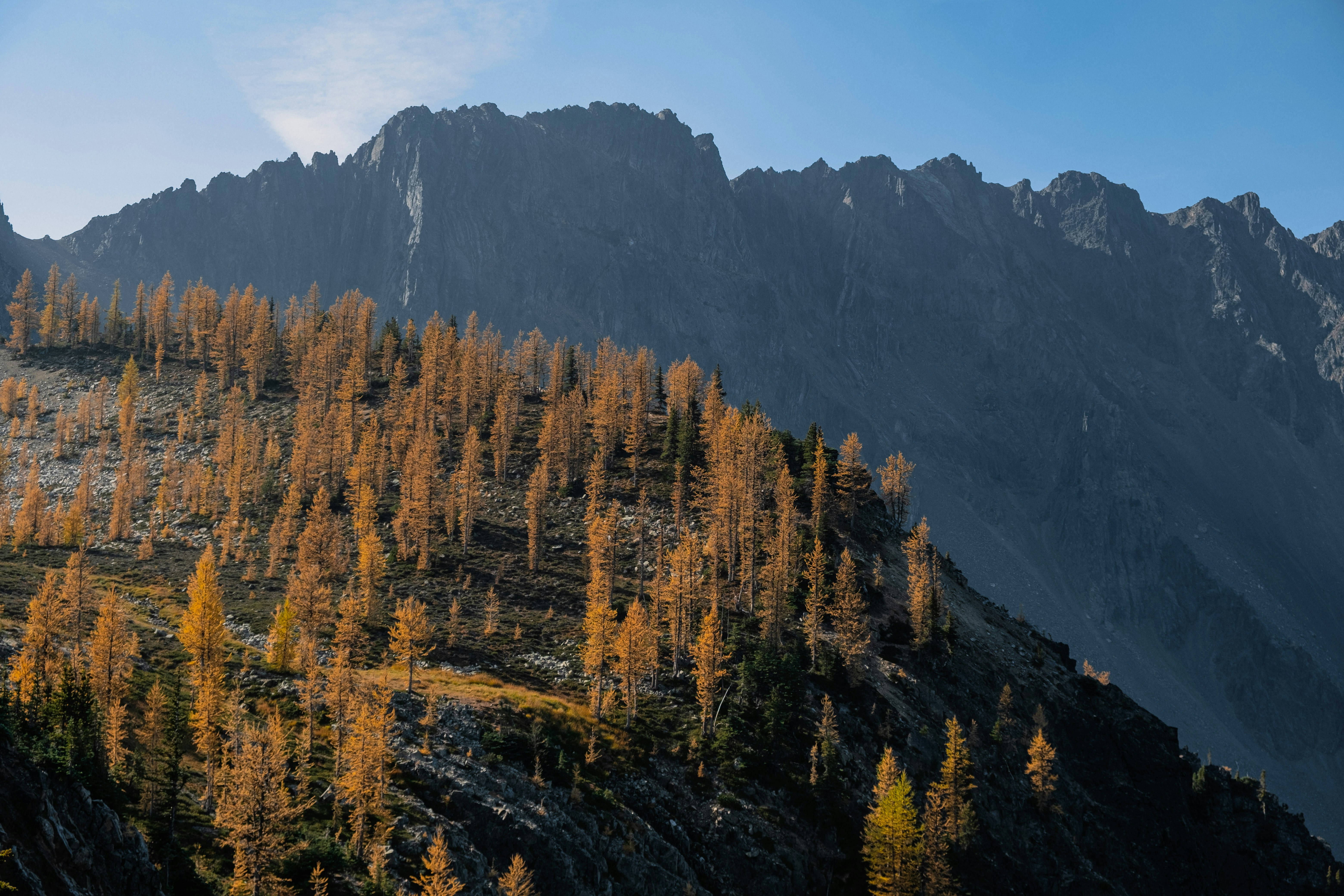 Photo by olgayakovlenko