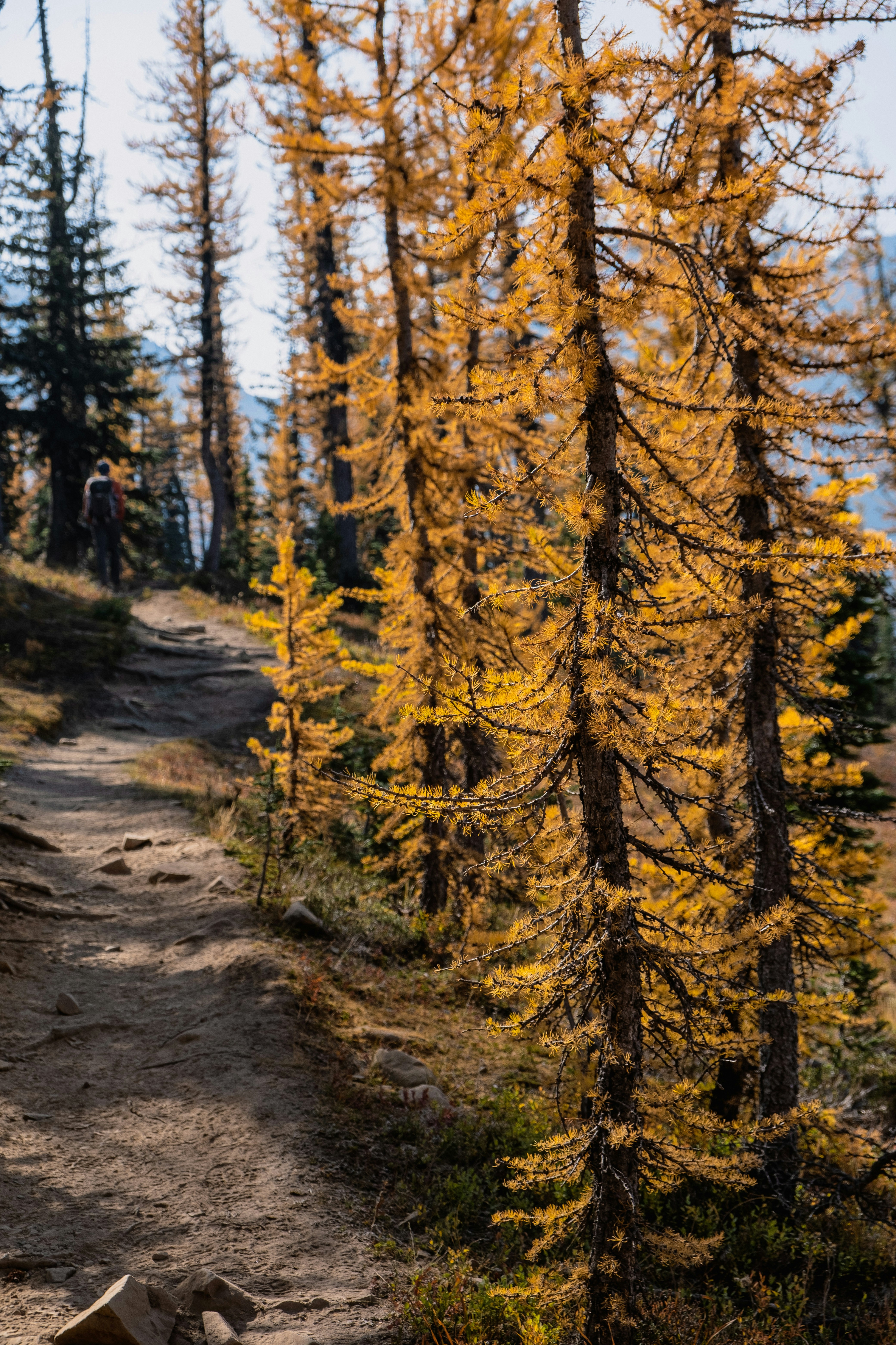 Photo by olgayakovlenko