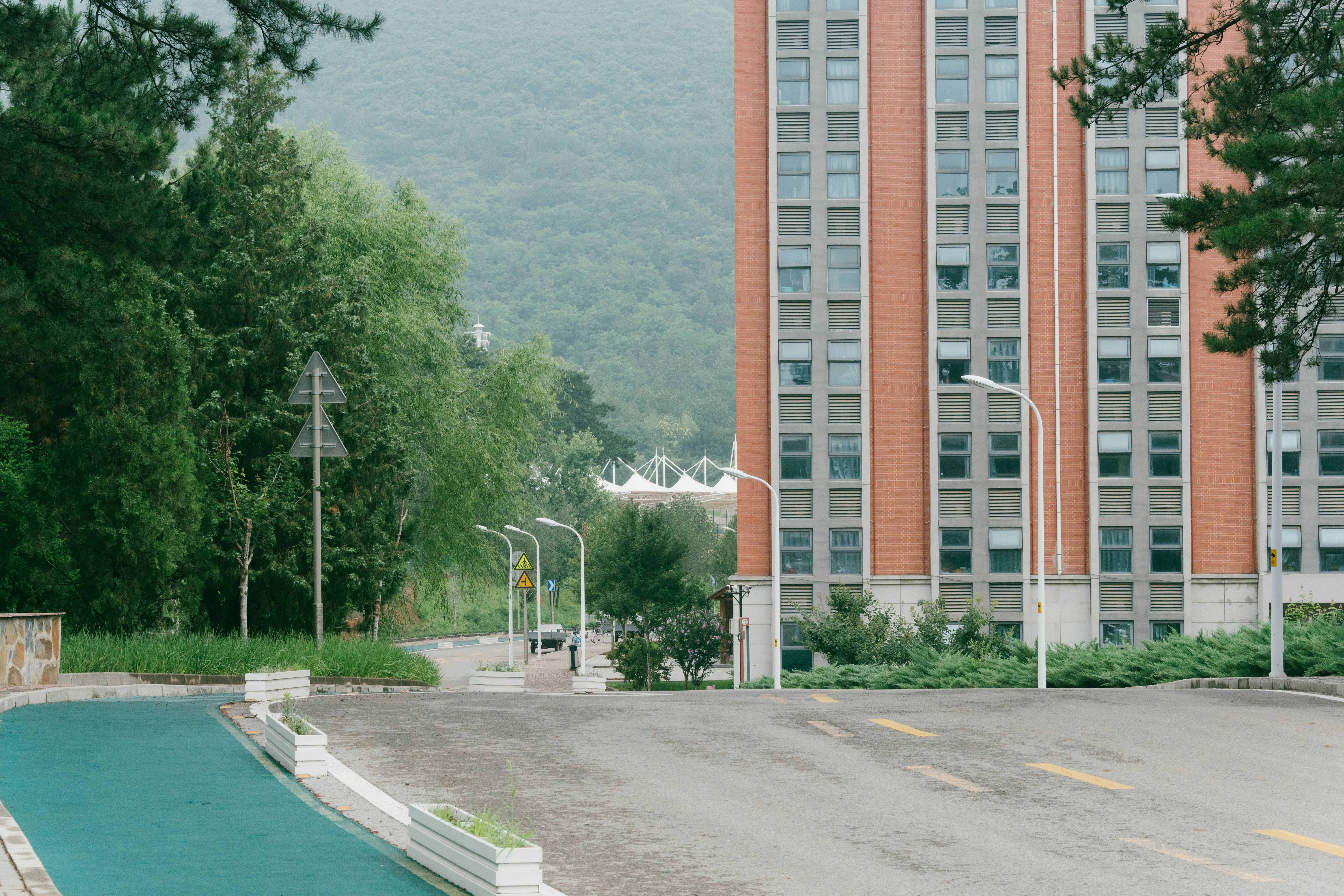 a road with trees and a building in the background