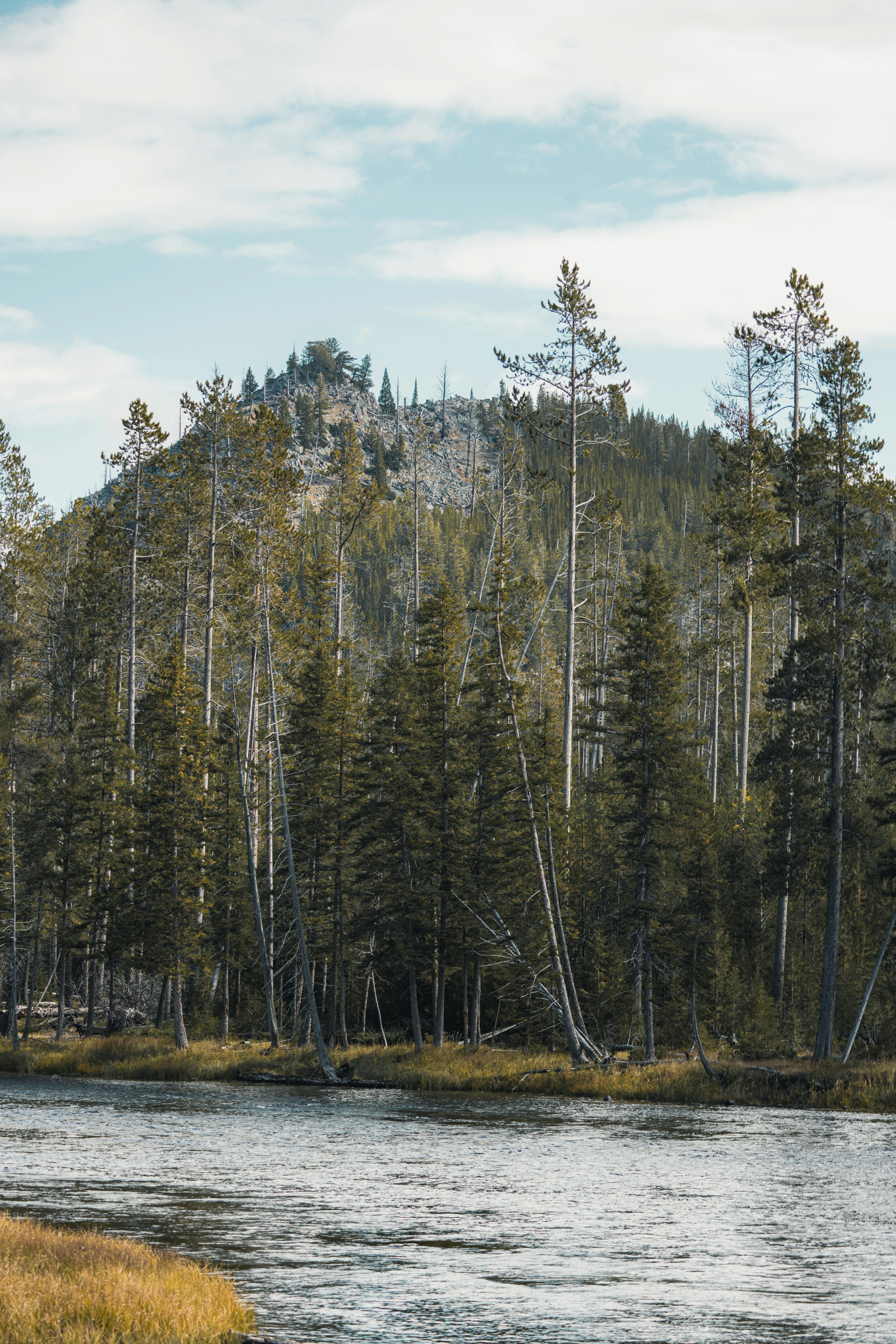 Photo by isaactmitchell