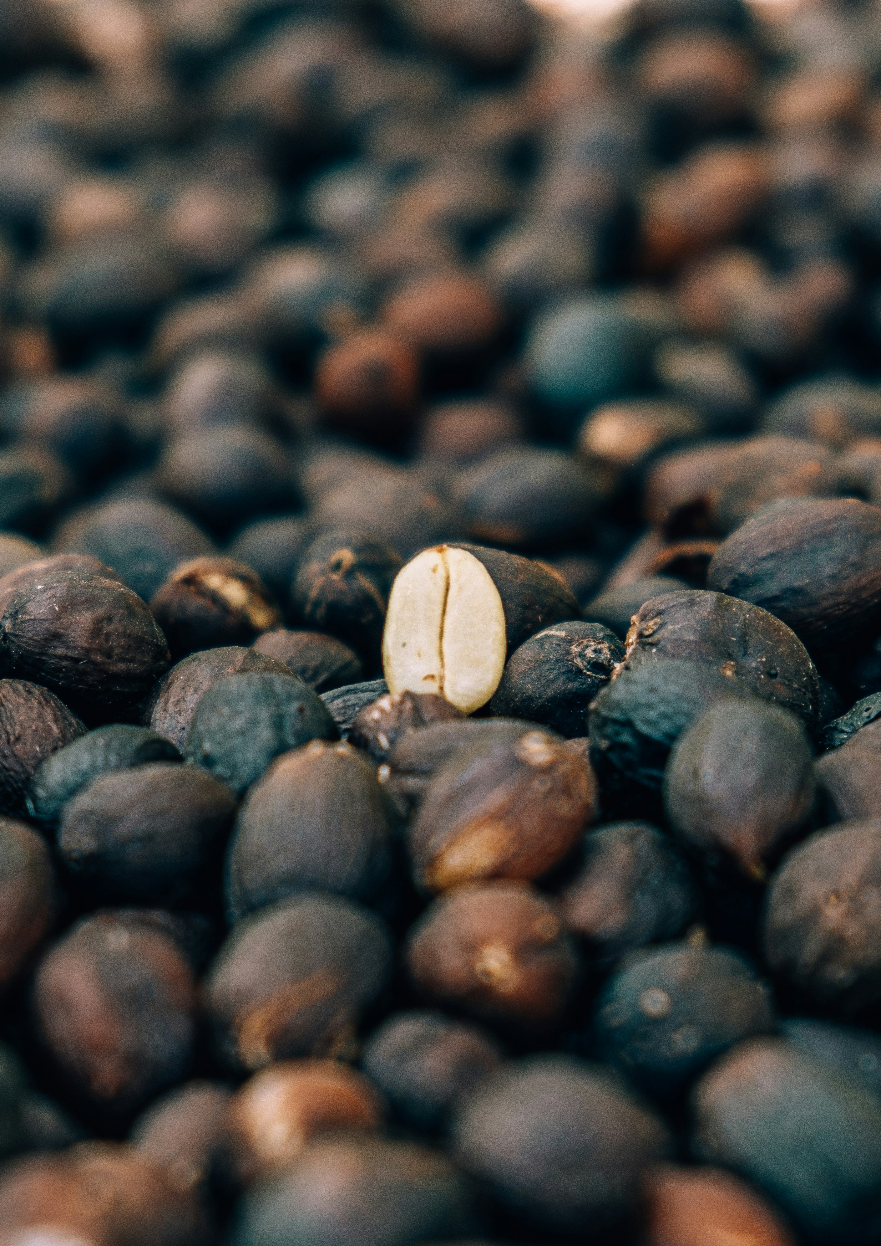 Photo by daniele_franchi