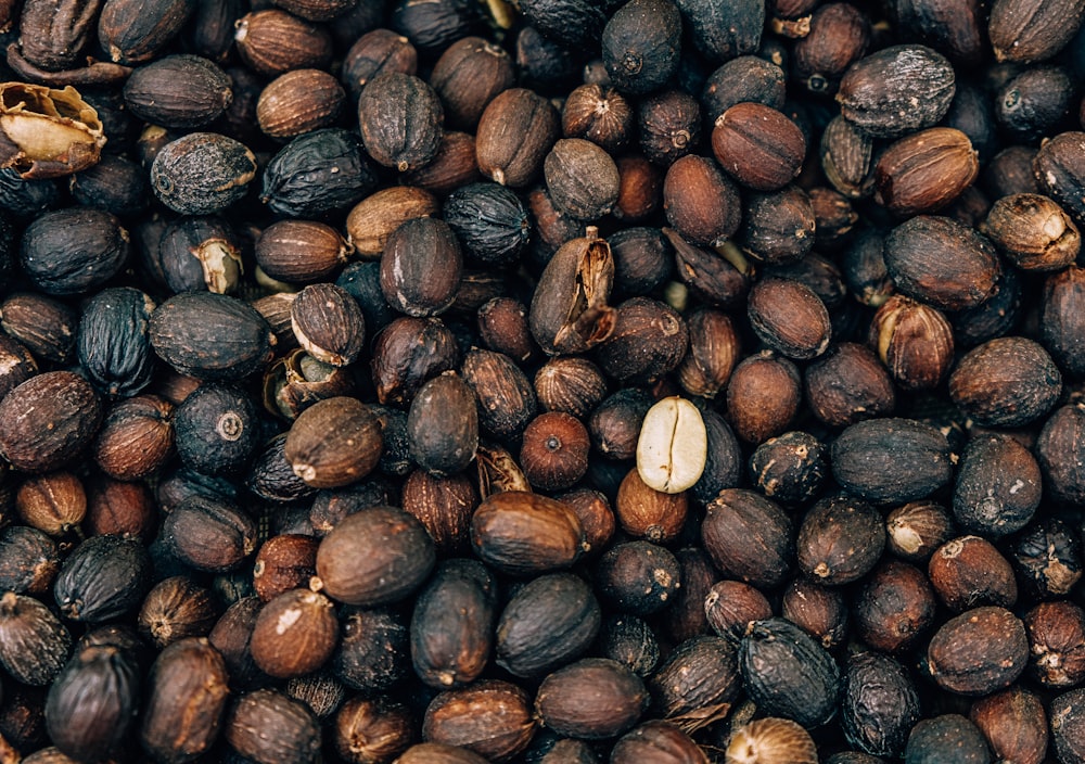 a pile of coffee beans