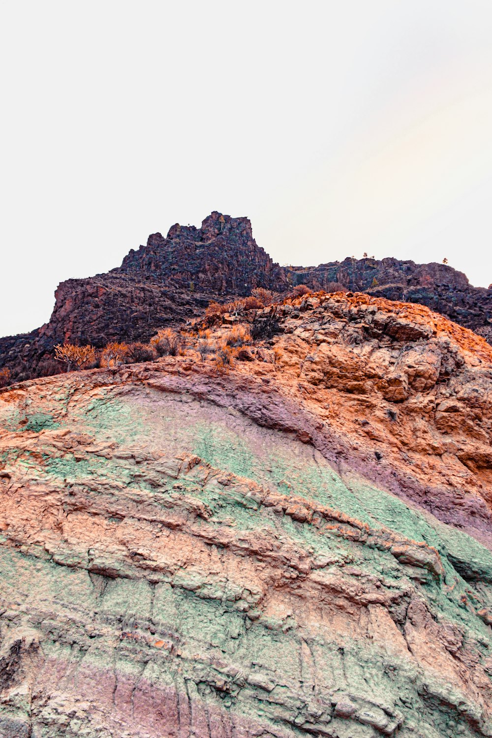 a rocky mountain with green plants