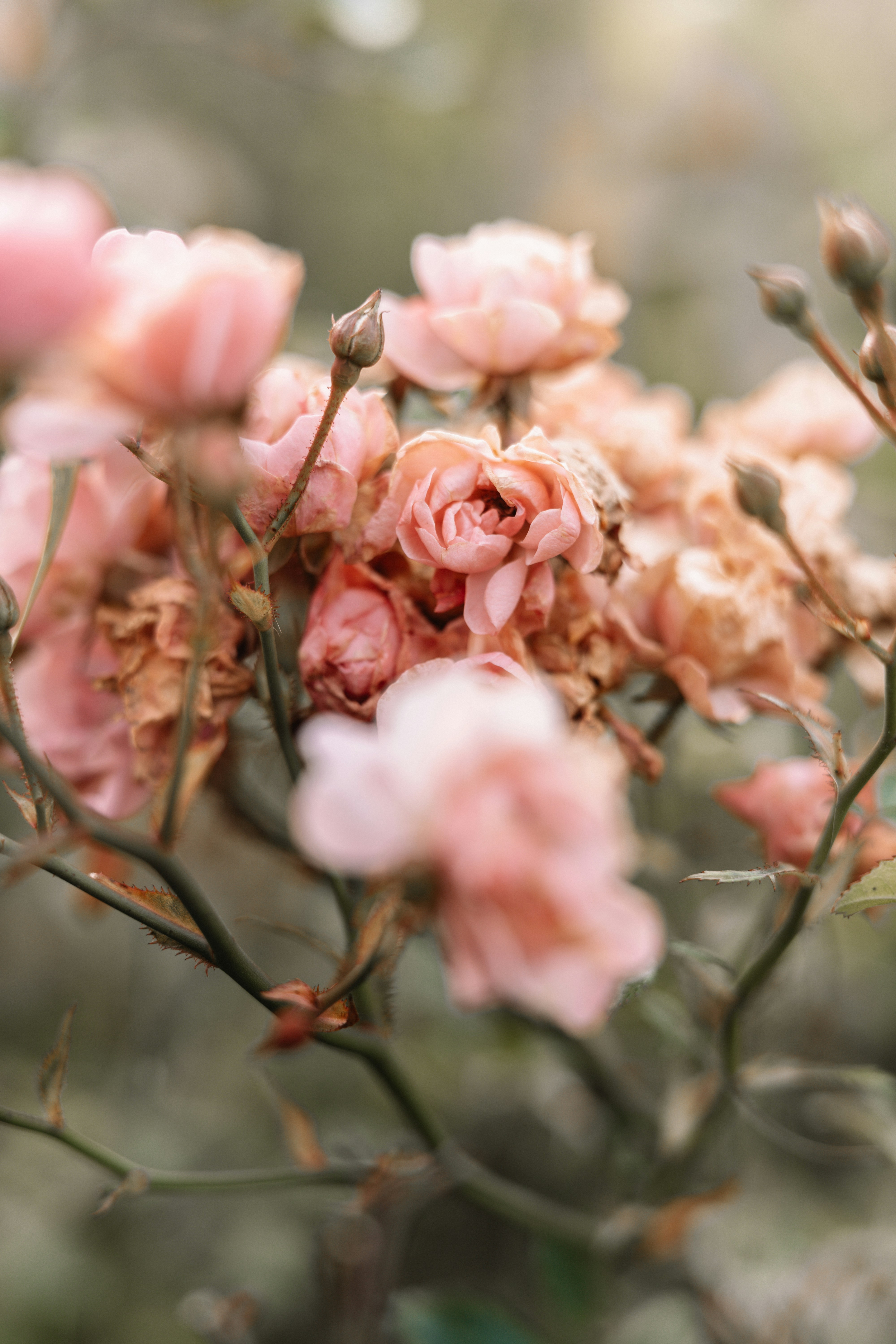 Photo by anamnesis33