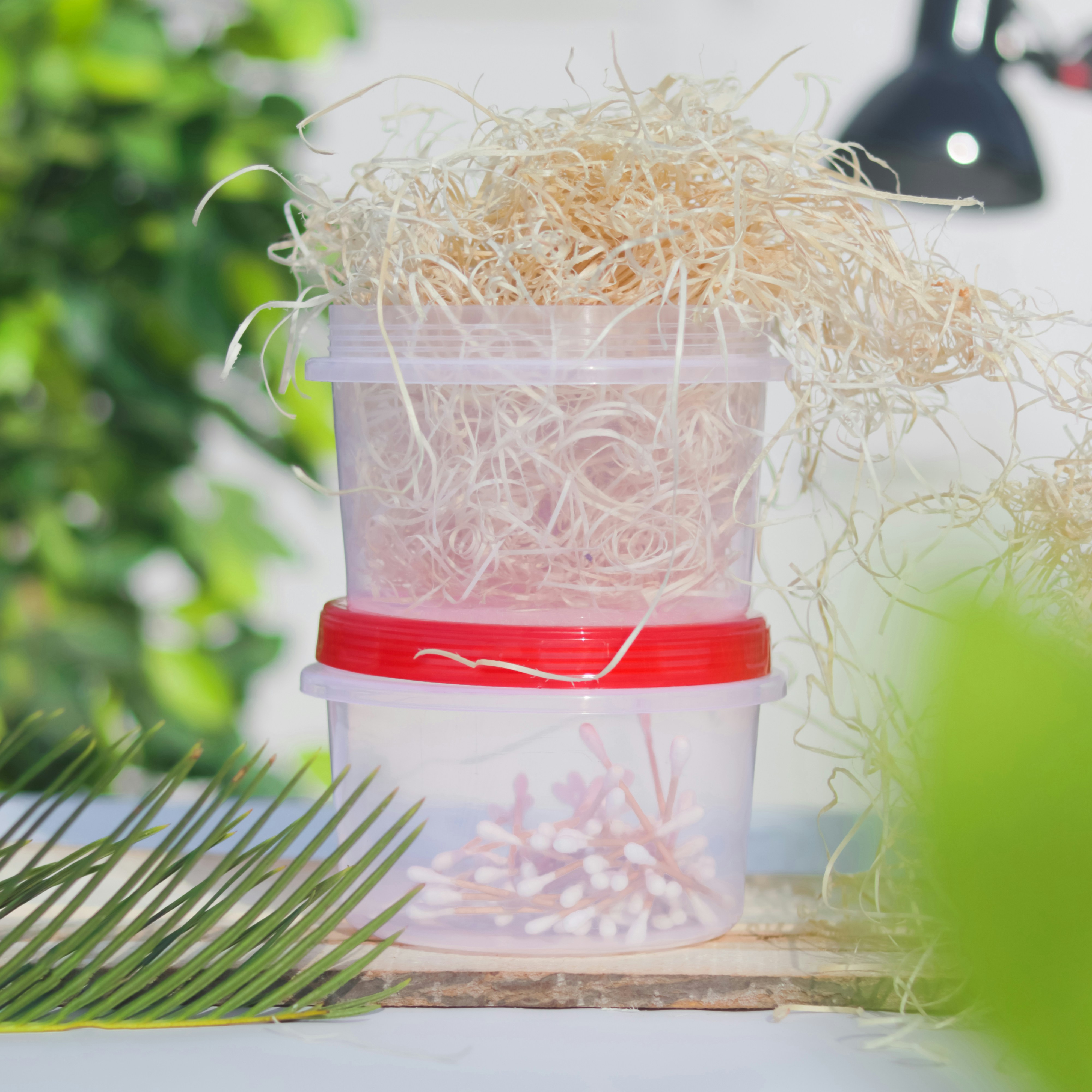a jar of food