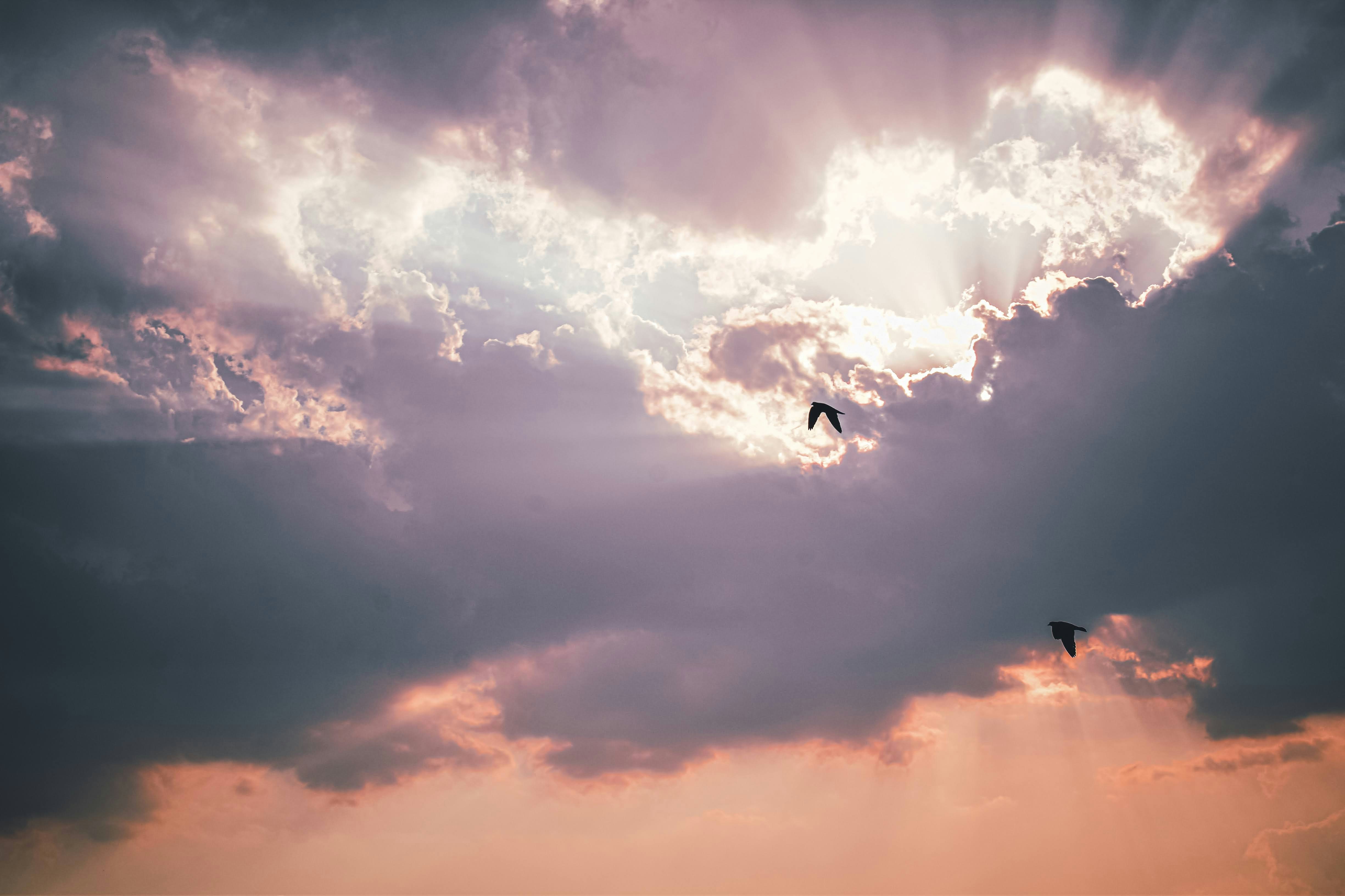 Photo by sanjayreddy1