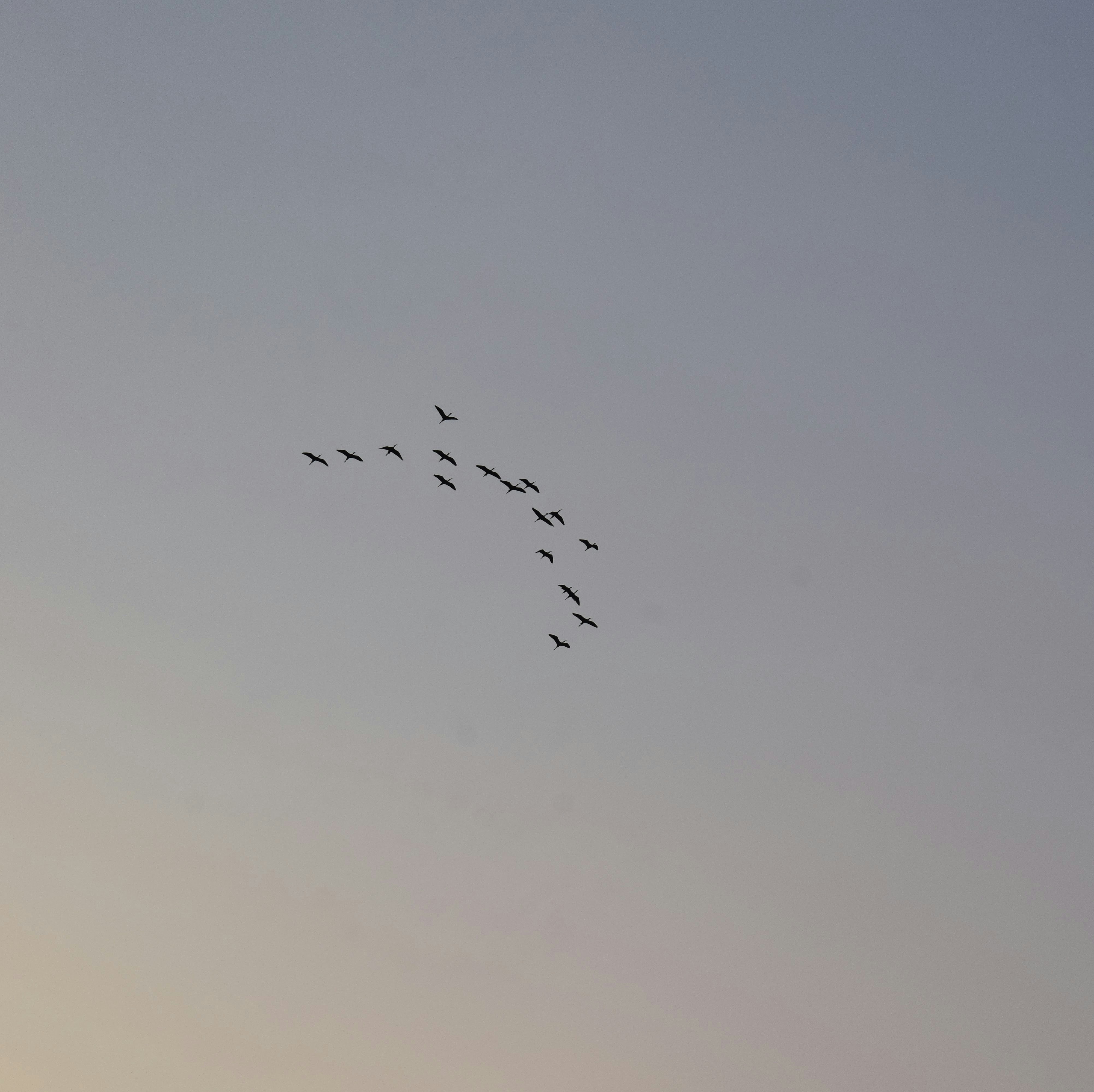 Photo by sanjayreddy1