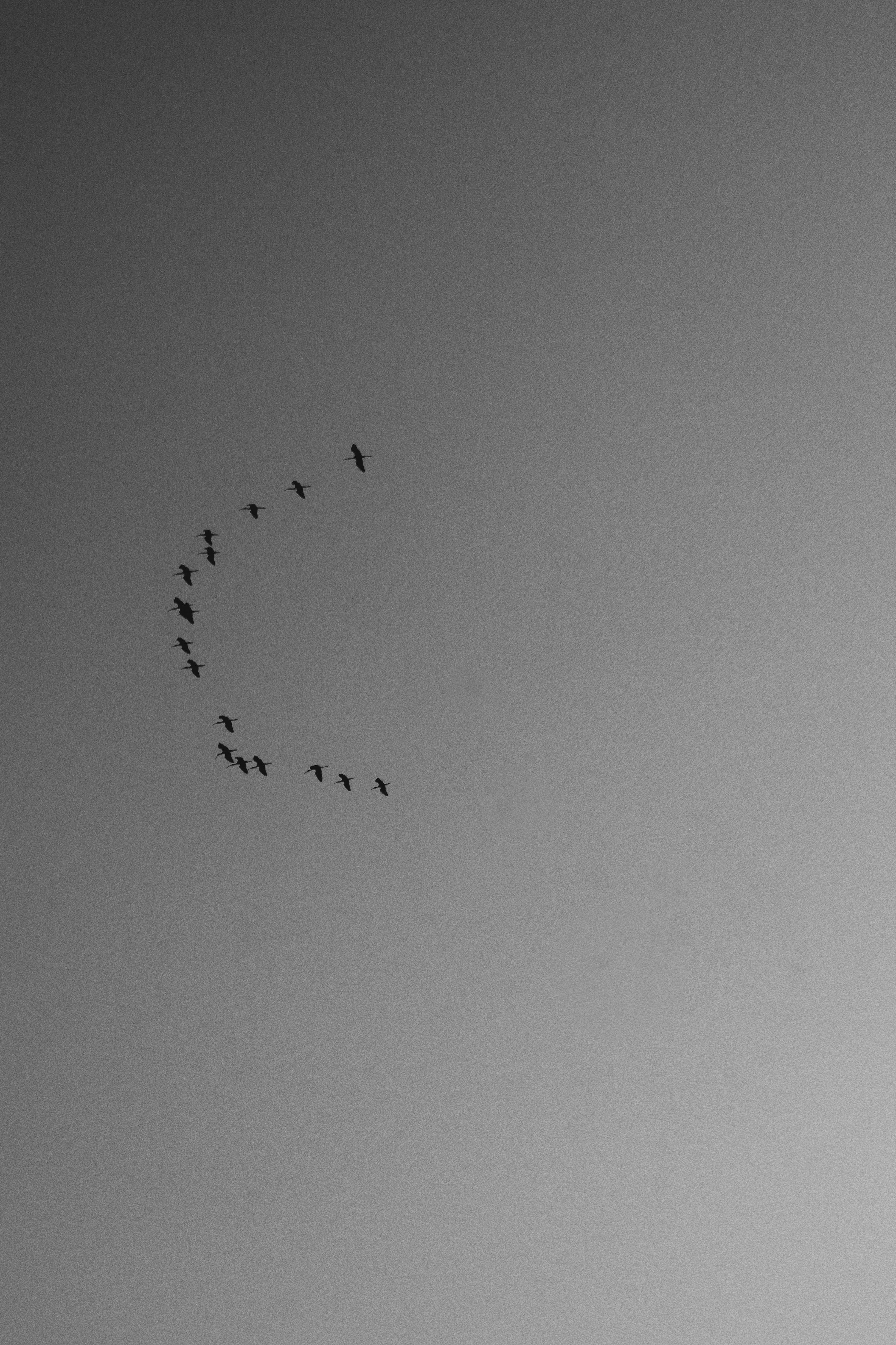 Photo by sanjayreddy1