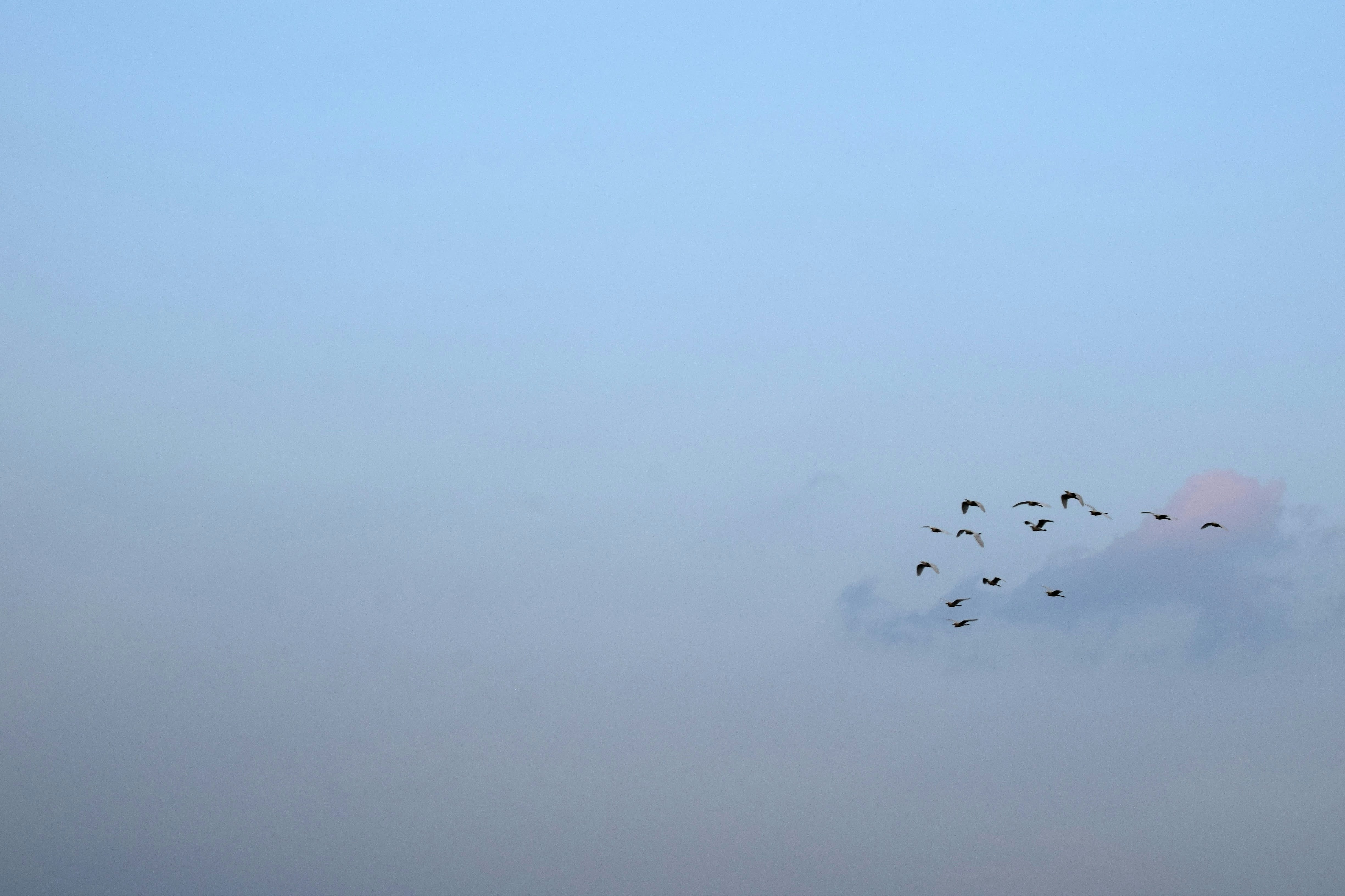 Photo by sanjayreddy1