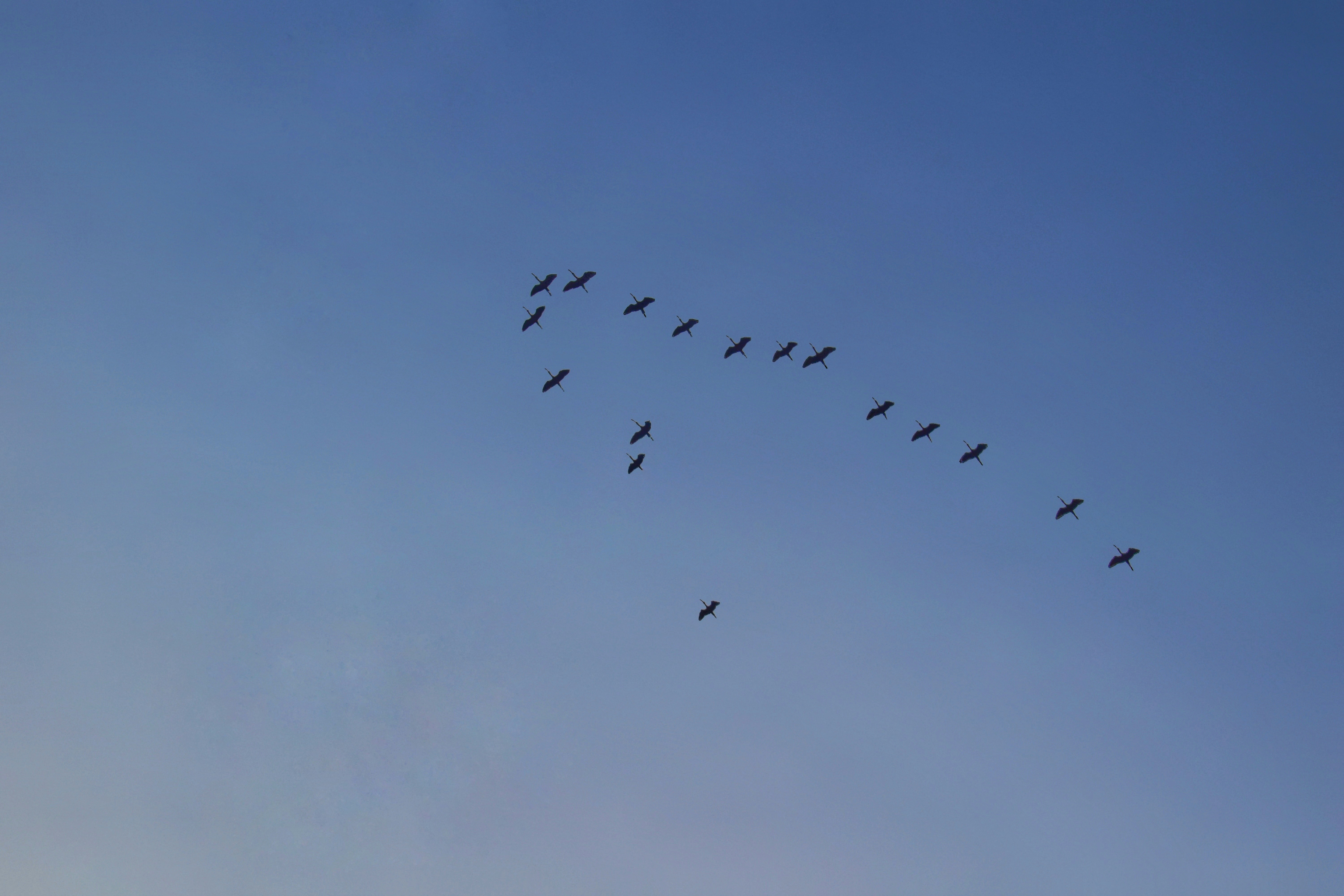 Photo by sanjayreddy1