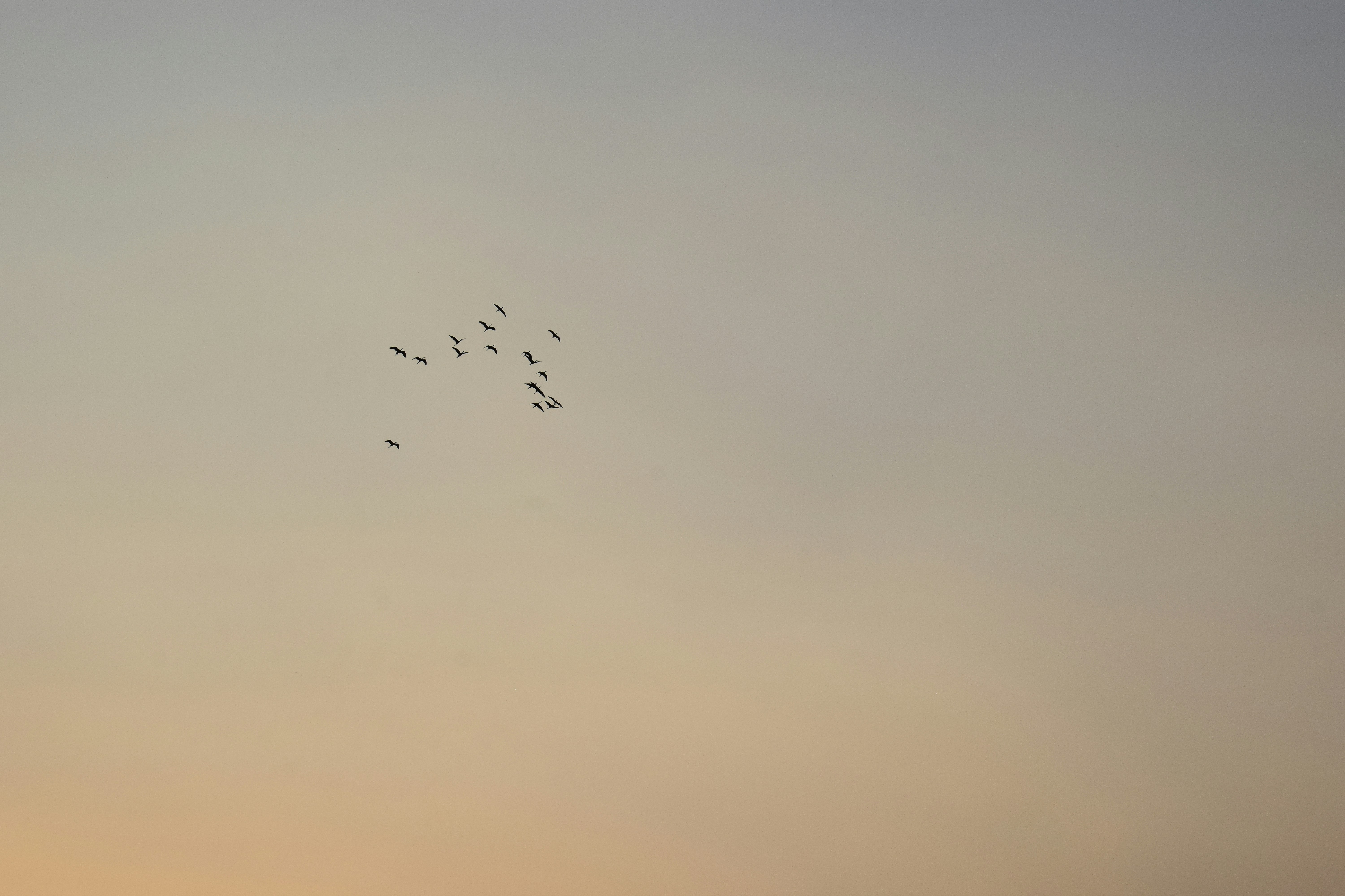 Photo by sanjayreddy1