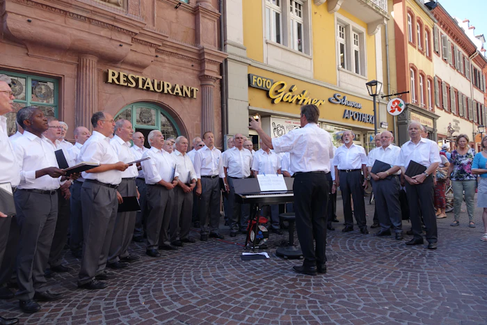 Best Live Music Bars in Heidelberg for a Proper Night Out
