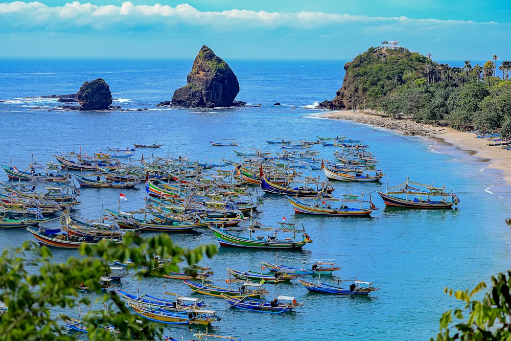 um grupo de barcos em uma praia