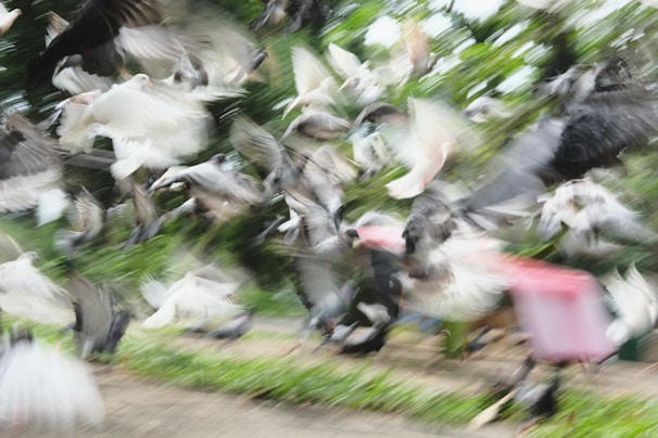 A dynamic scene from a video featuring exciting action and movement.