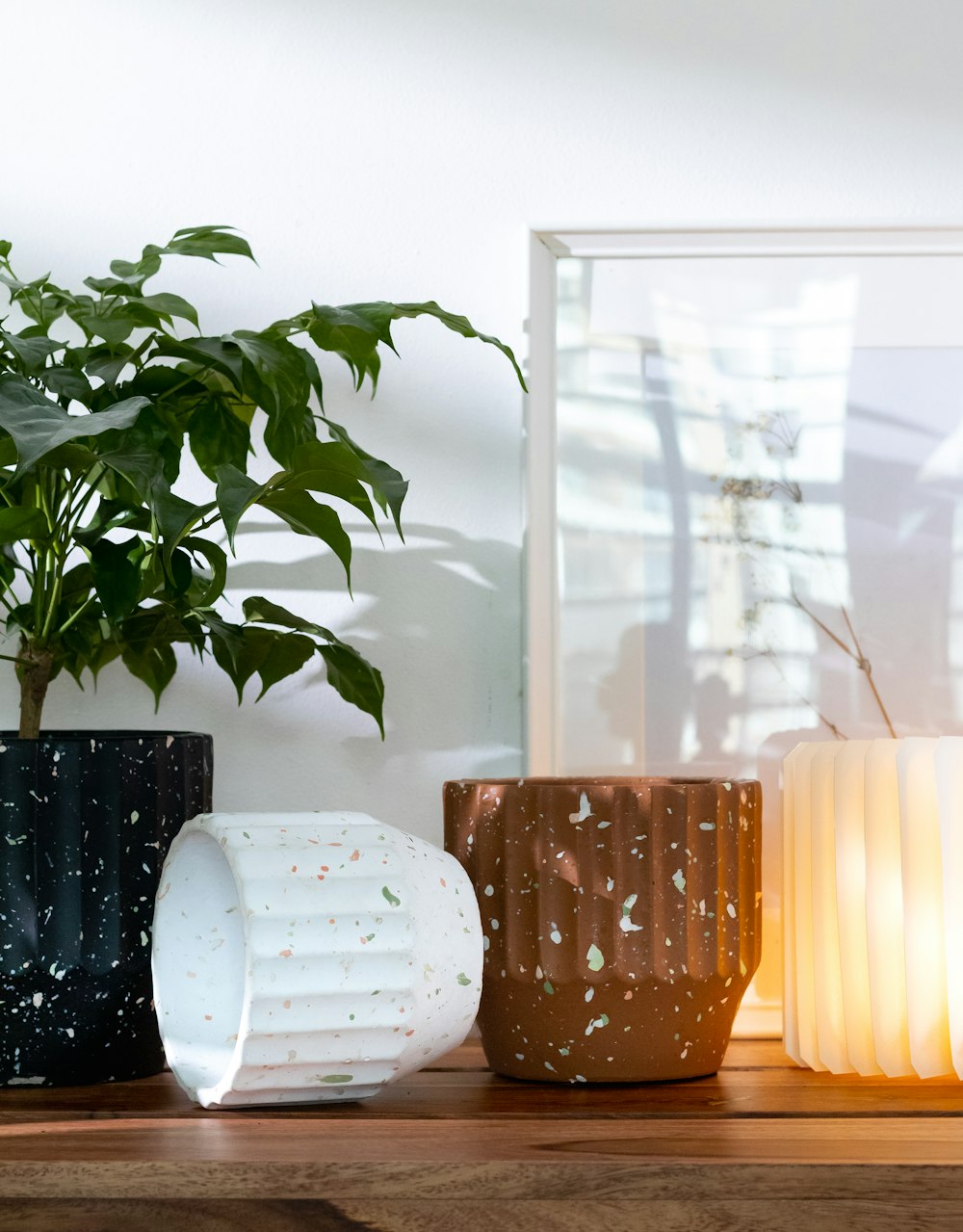 a plant in a vase next to a couple of vases