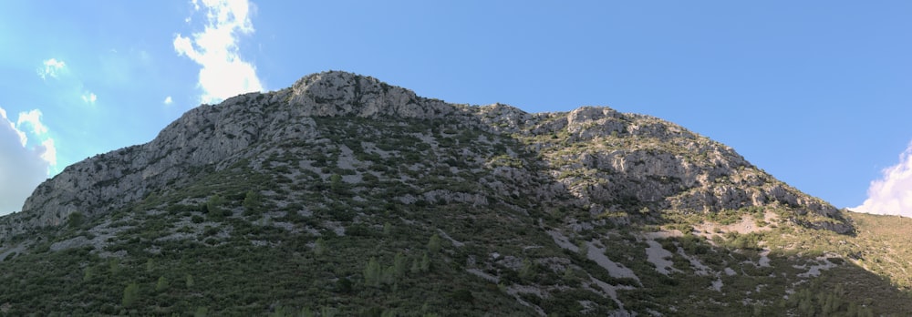 a rocky mountain with trees