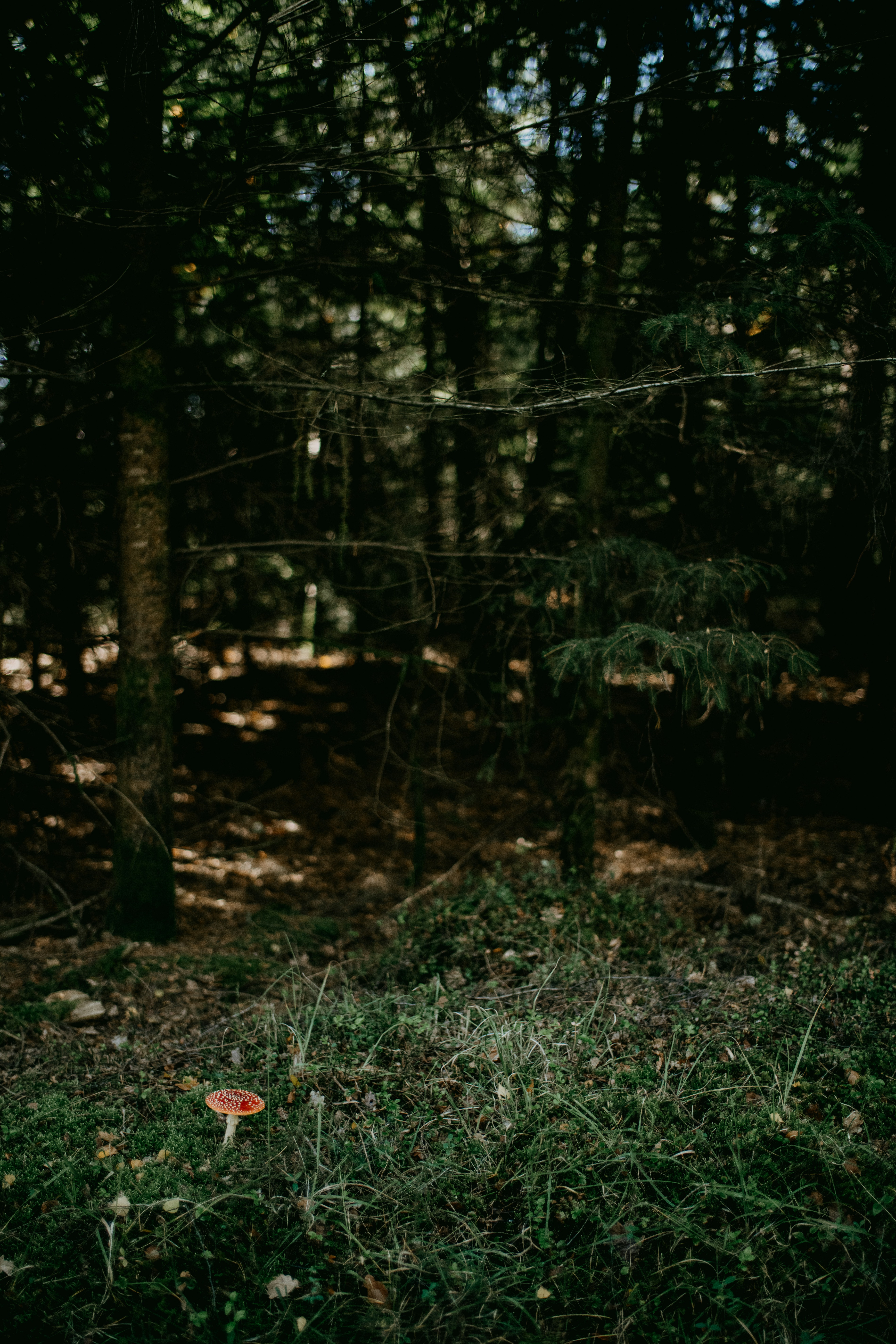 Photo by anniespratt