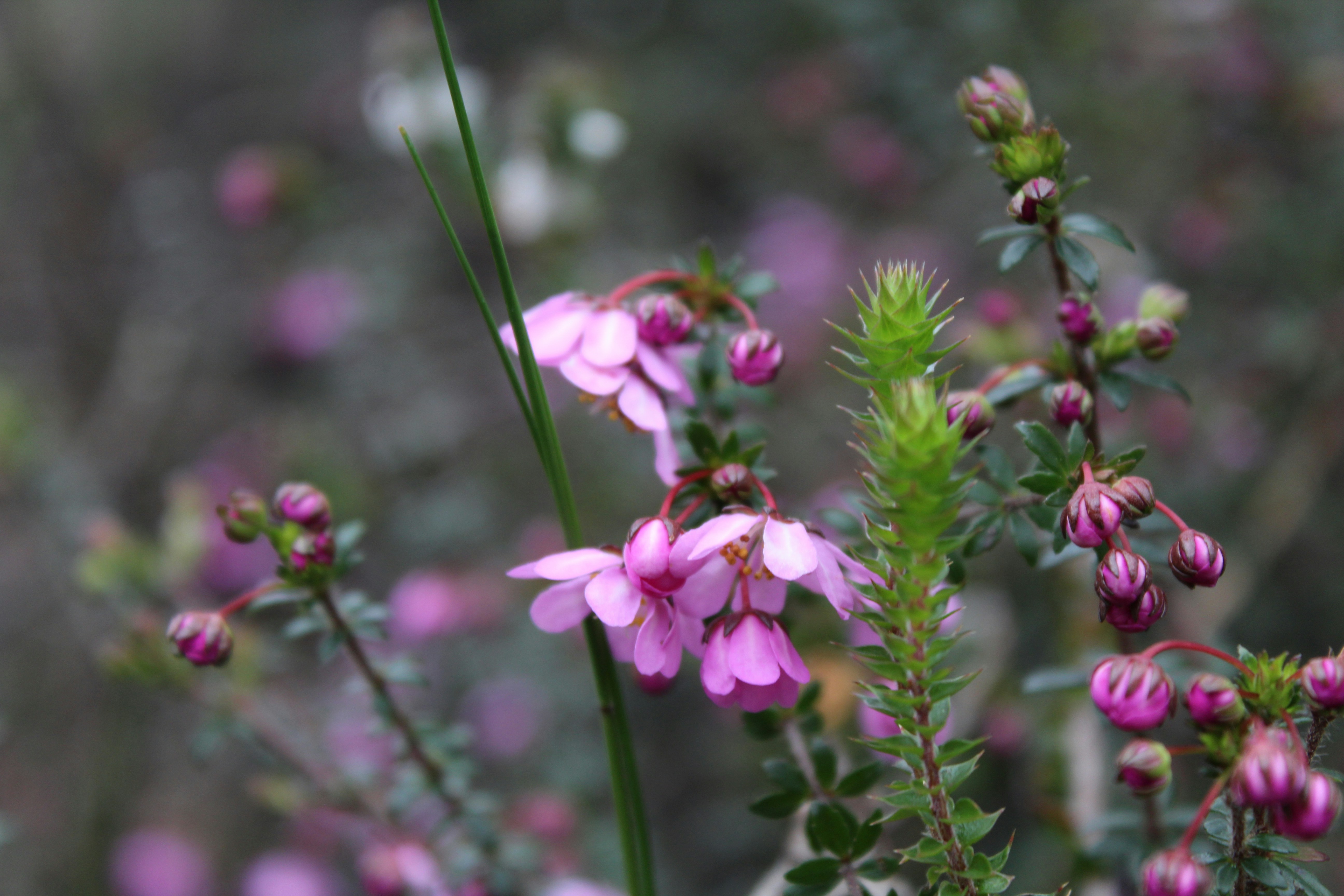 Photo by light_and_hope