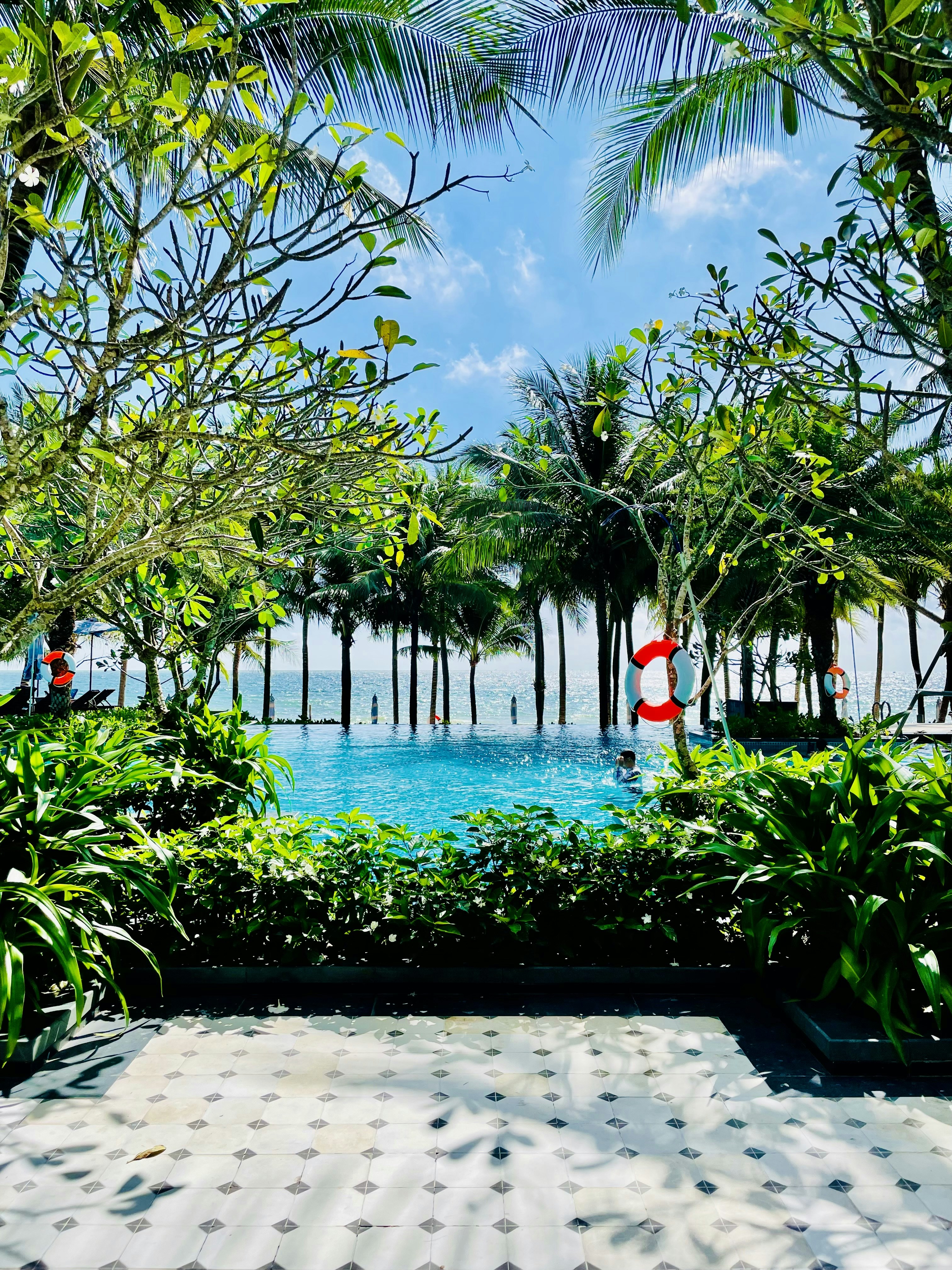 Photo by nguyenvubach