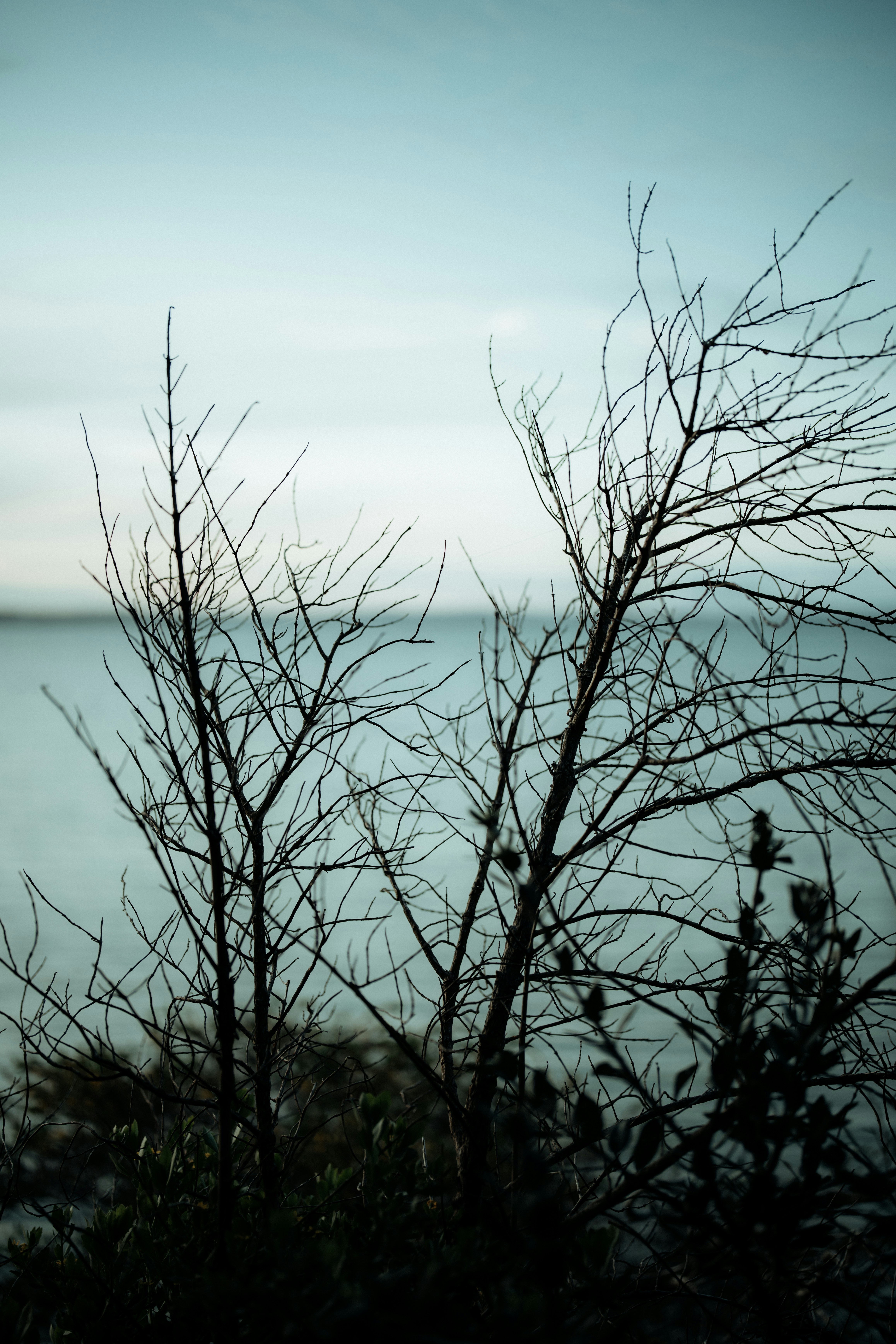 Photo by fightagainstthedyingofthelight