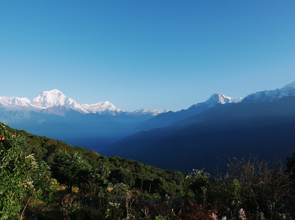 a mountain range with snow