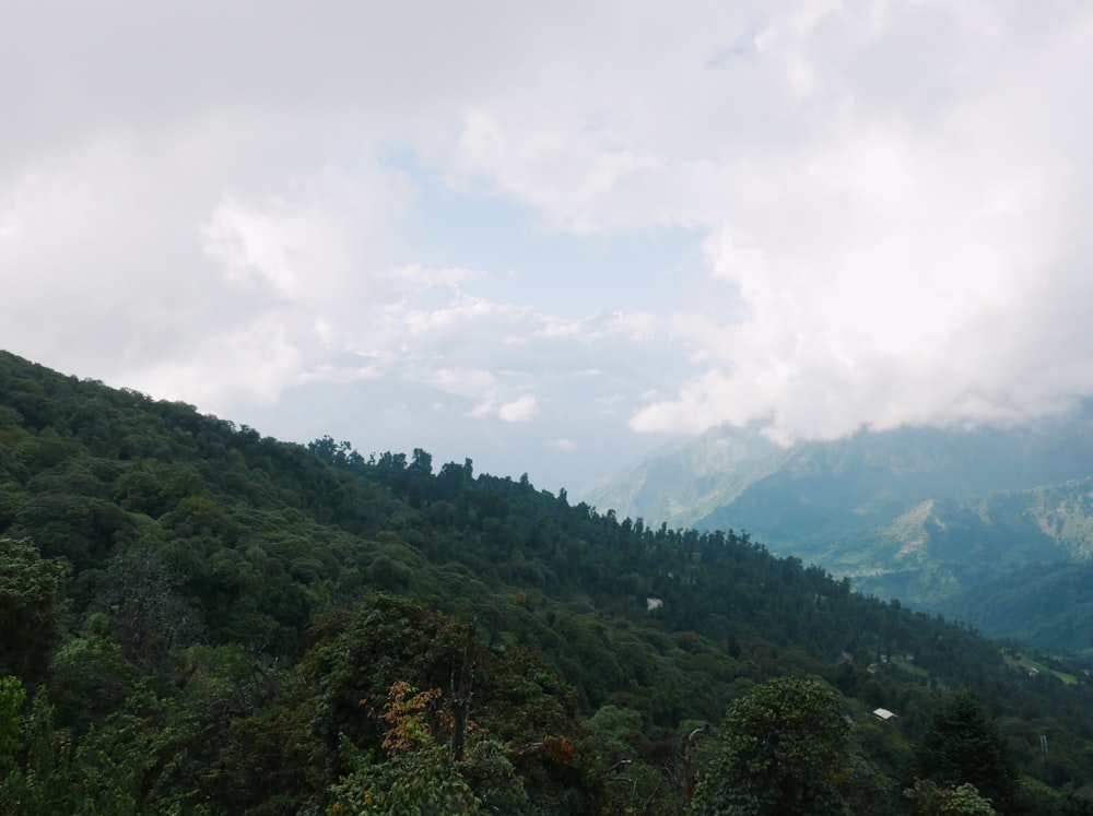 a landscape with trees and hills