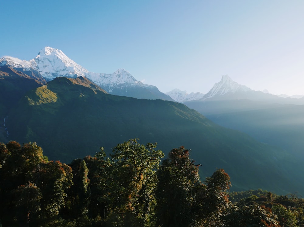 a mountain range with trees