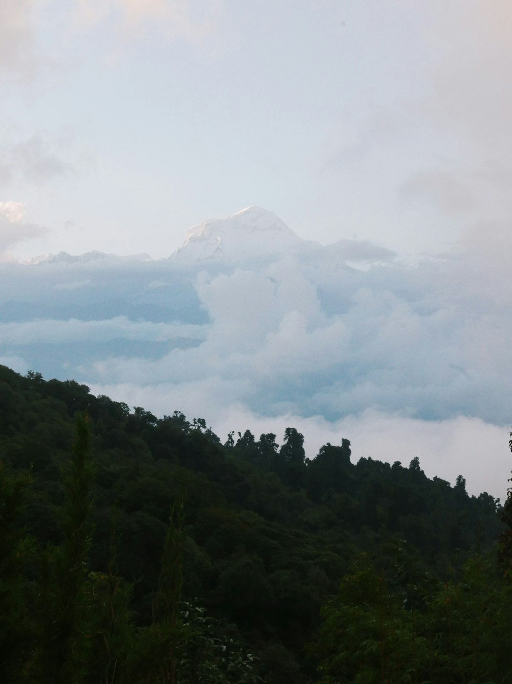 una montaña con nubes a su alrededor