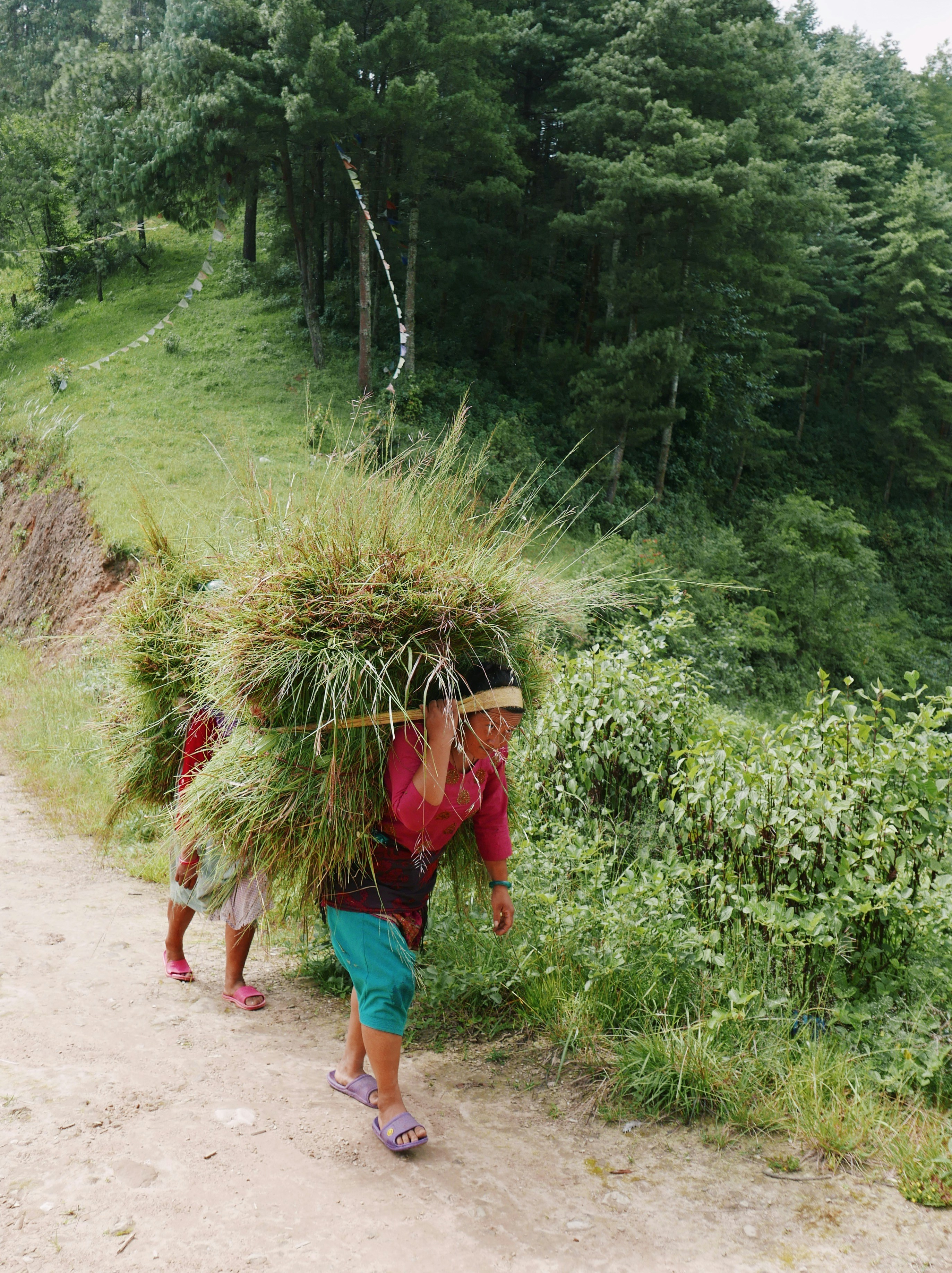 8 Daily Village Life Practices to Reduce Stress Naturally